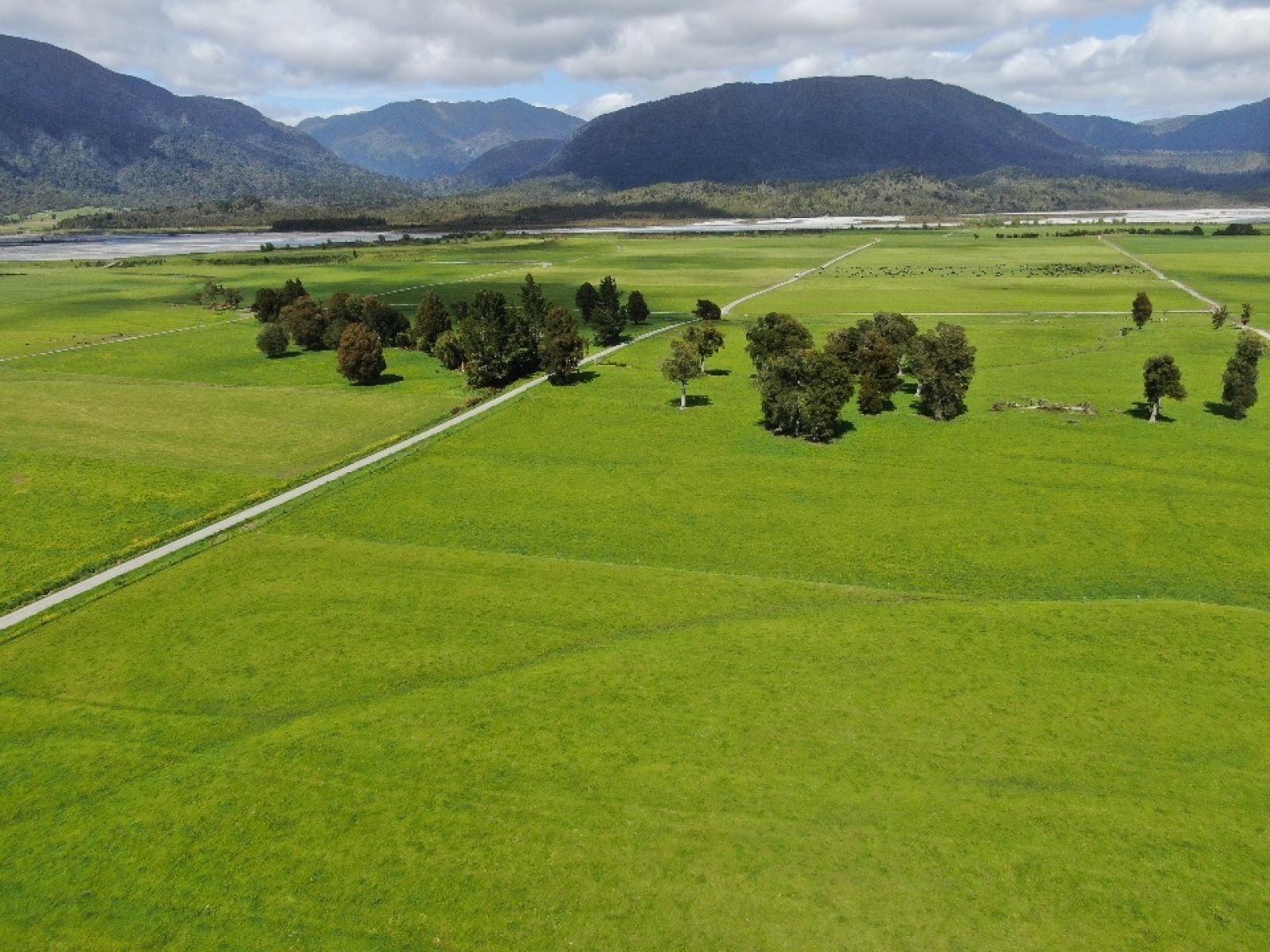 28 Stopbank Road, Kowhitirangi