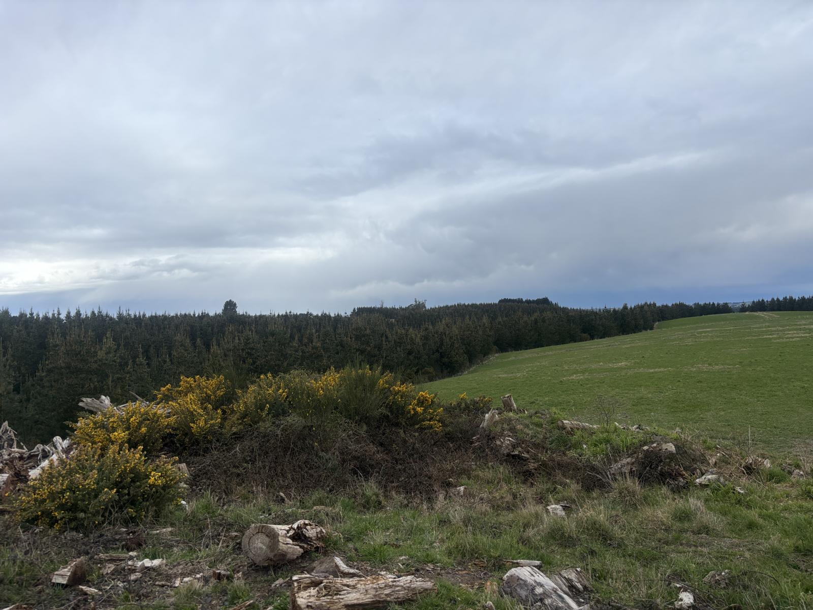 Opihi School Road, Pleasant Point