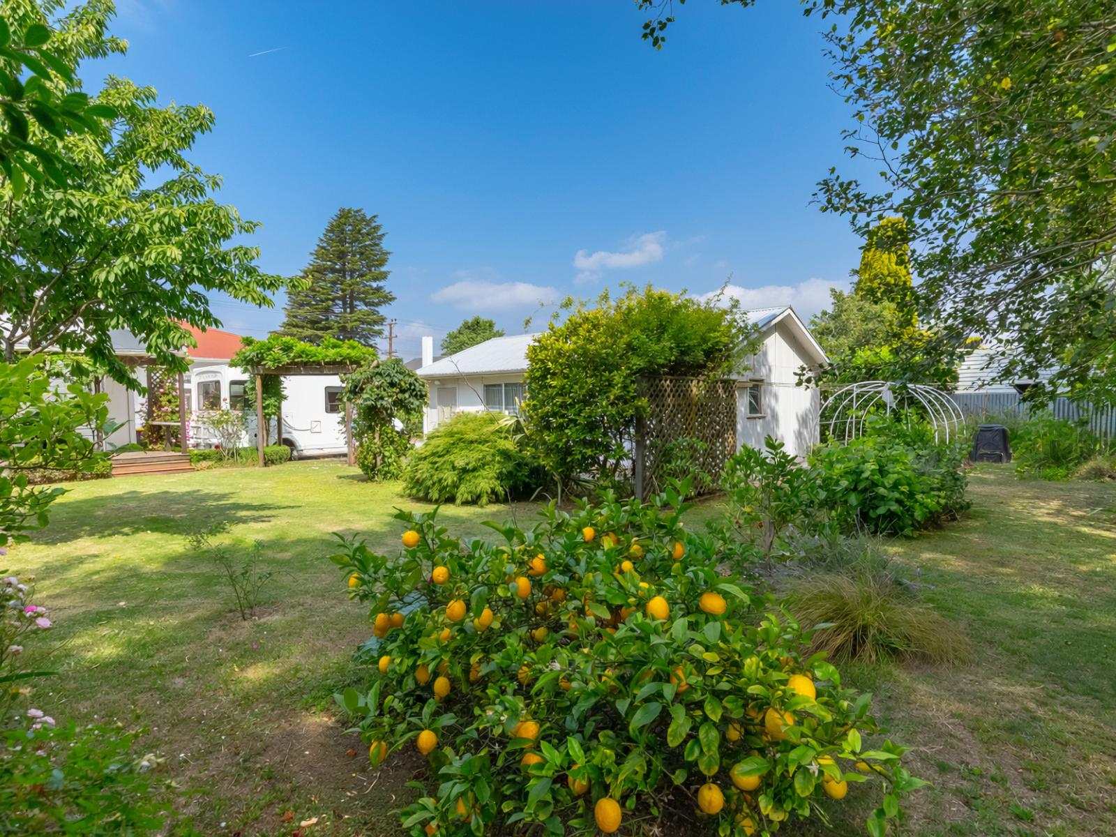 97 Renall Street, Masterton