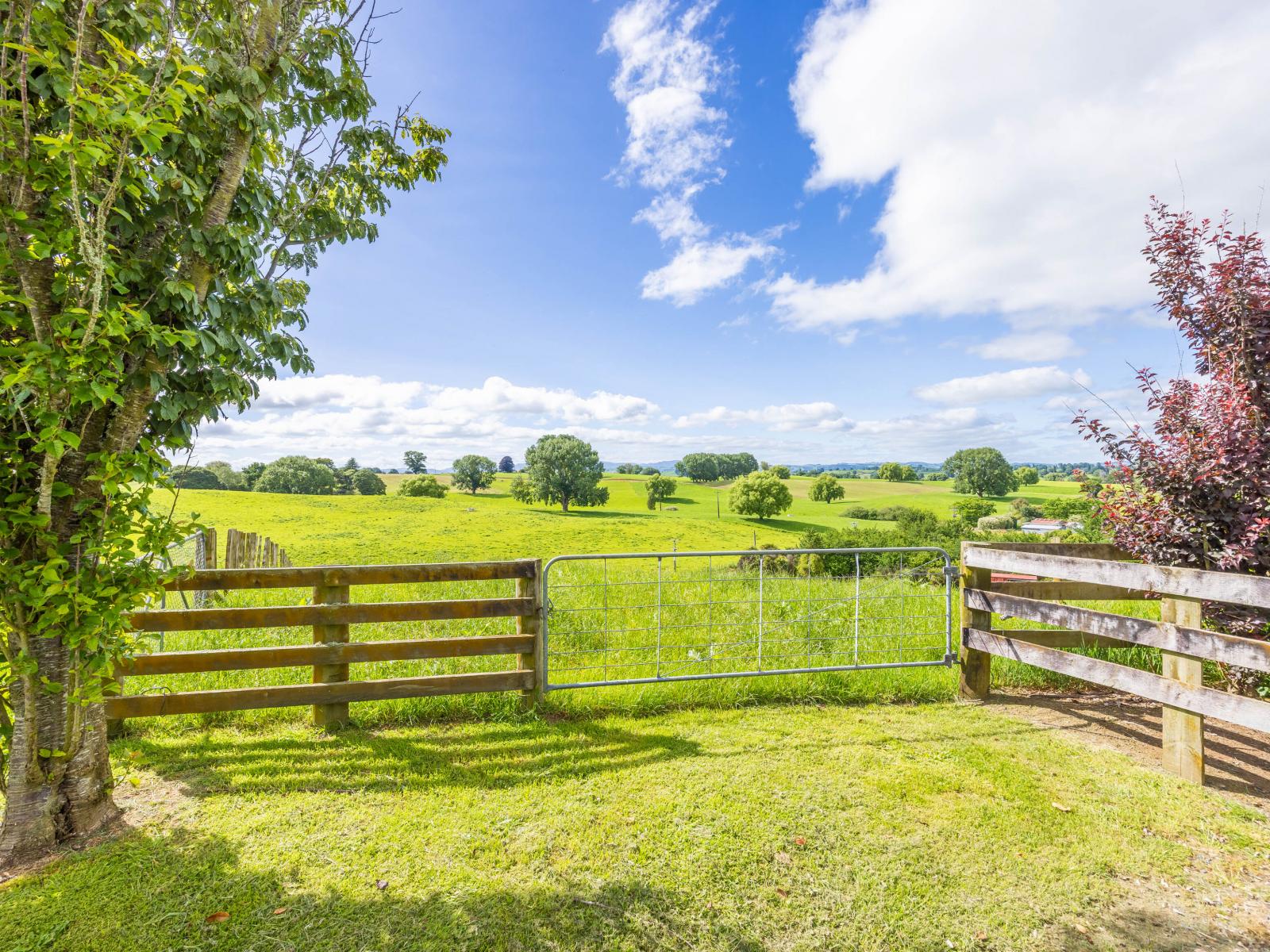 111 Ellis Road, Otorohanga