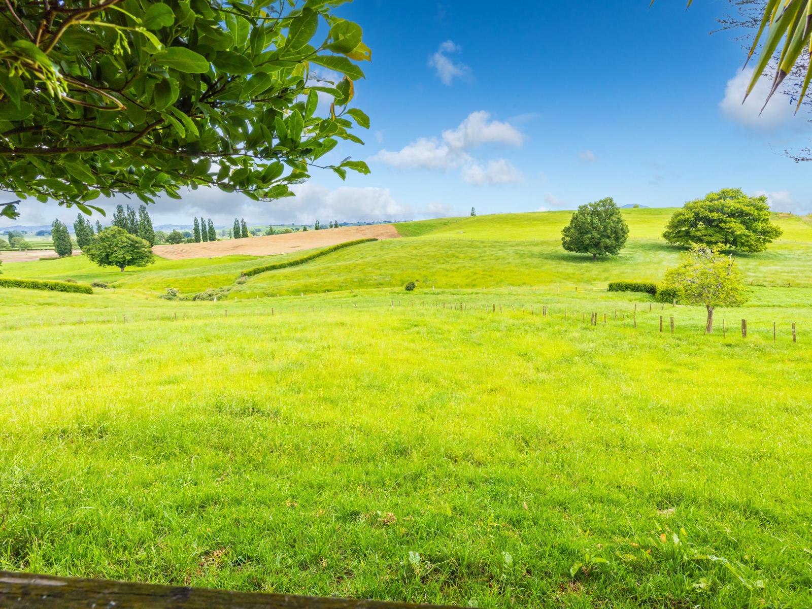 111 Ellis Road, Otorohanga