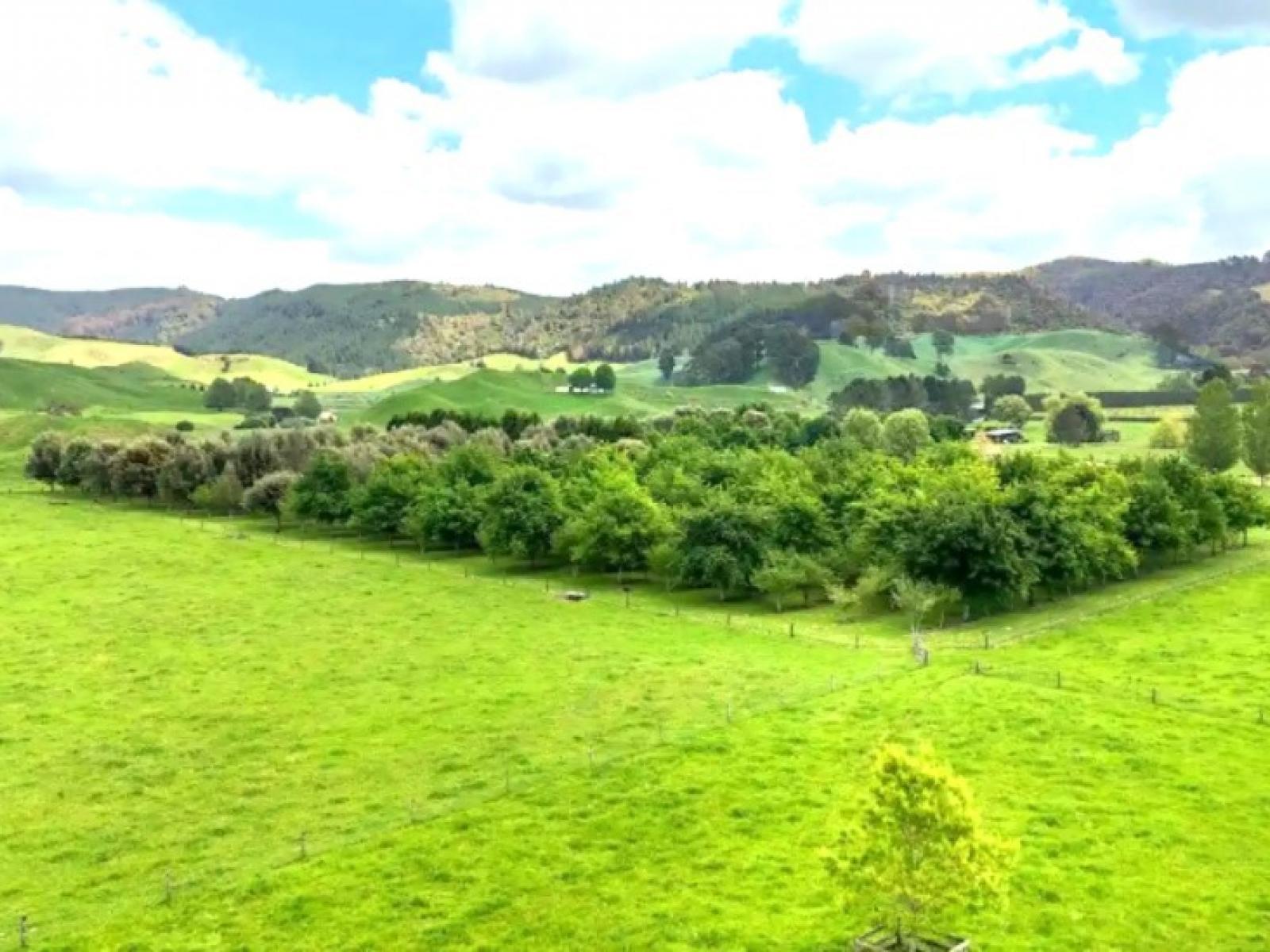 111 Ellis Road, Otorohanga