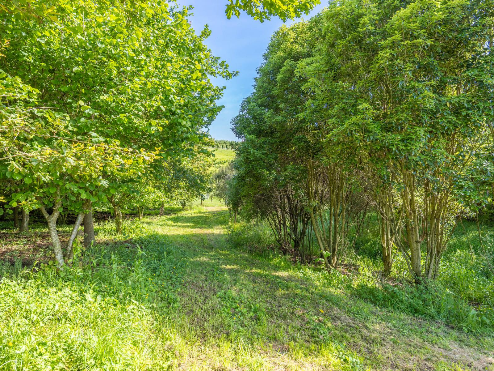 111 Ellis Road, Otorohanga