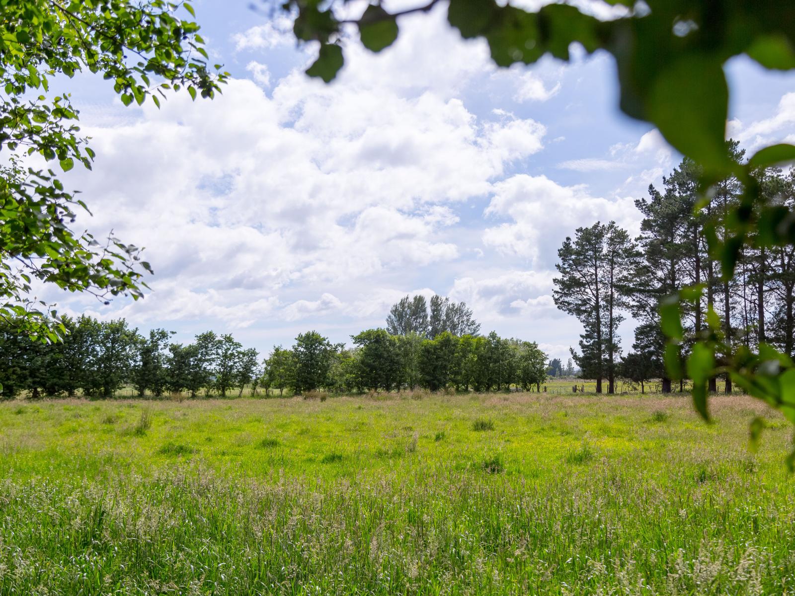 179 Bidwills Cutting Road, Greytown