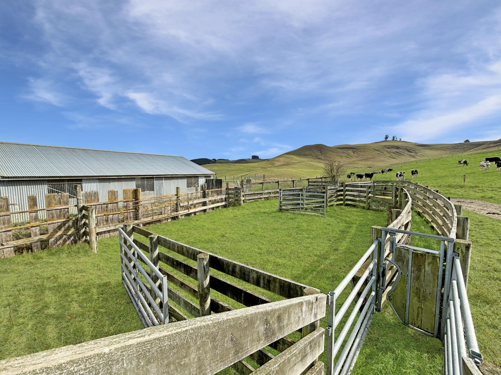 Finlays Road, Windsor