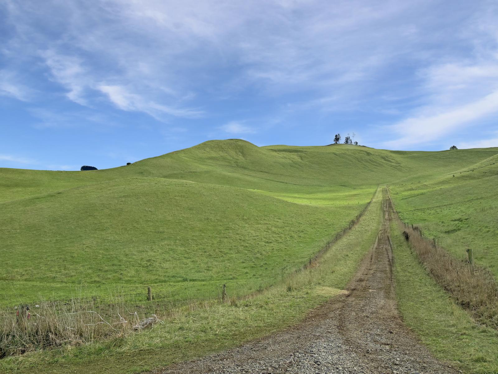 Finlays Road, Windsor