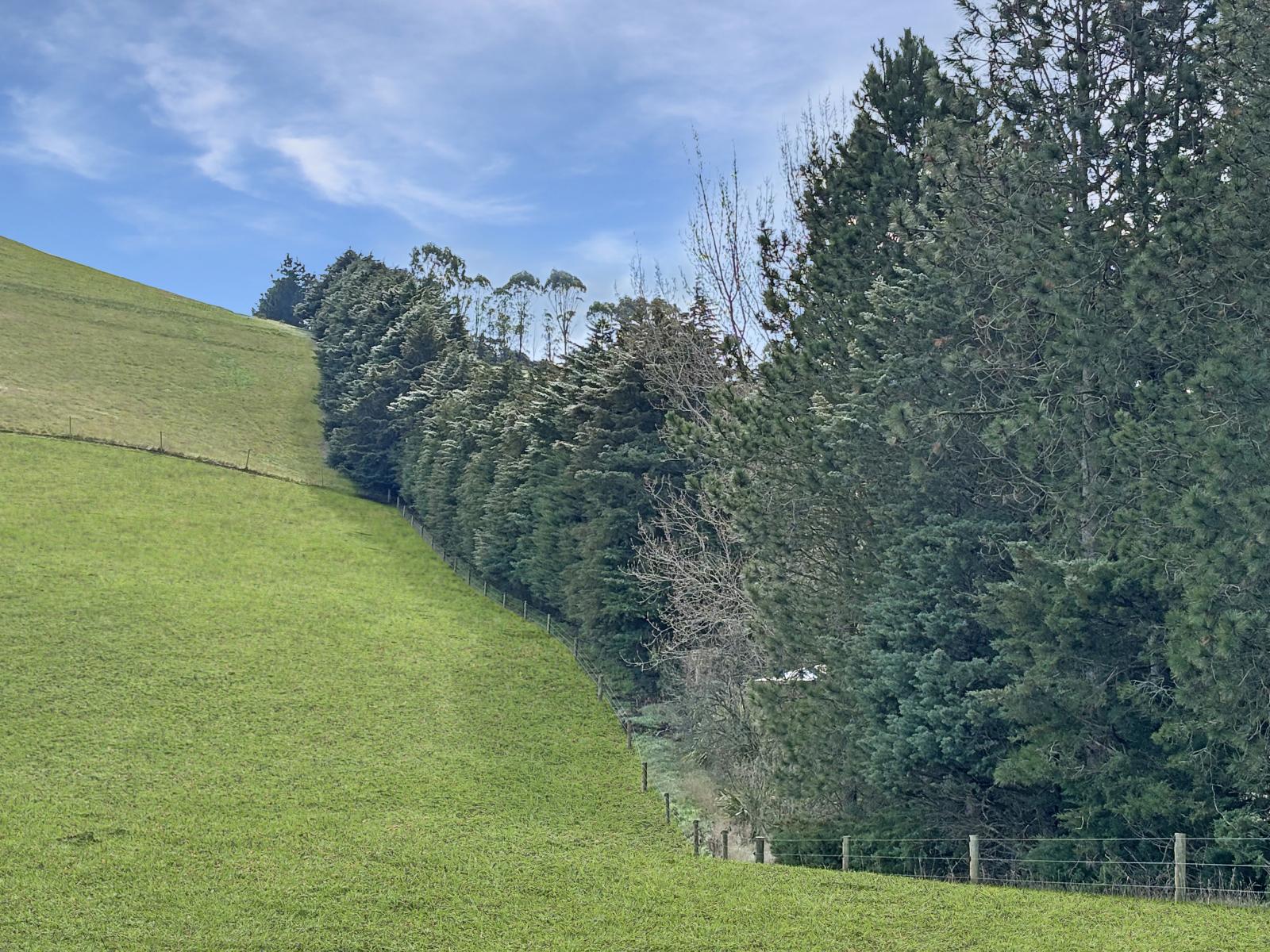 Finlays Road, Windsor