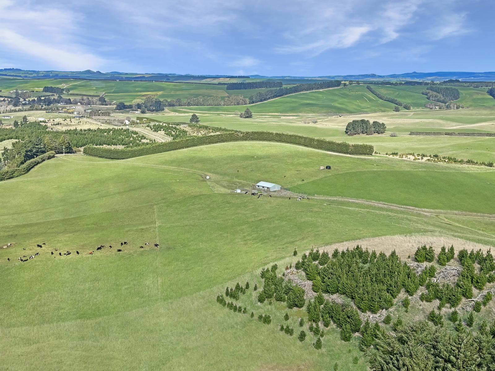 Finlays Road, Windsor