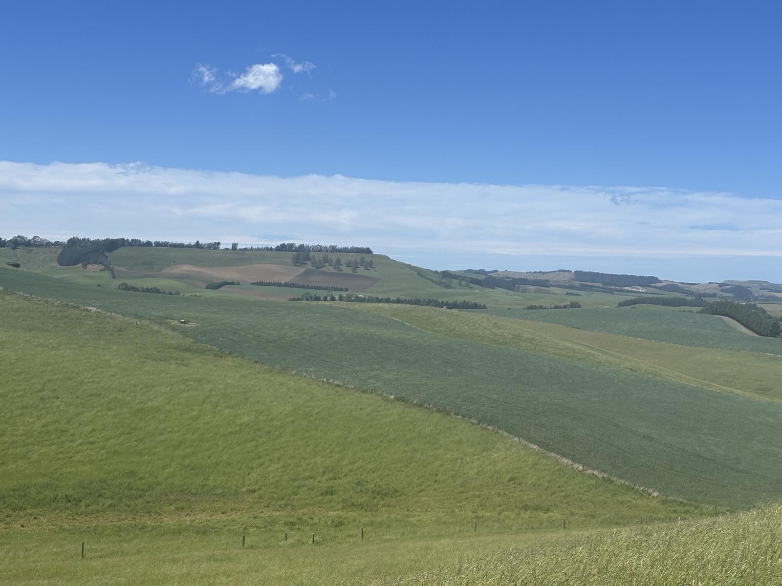 Finlays Road, Windsor