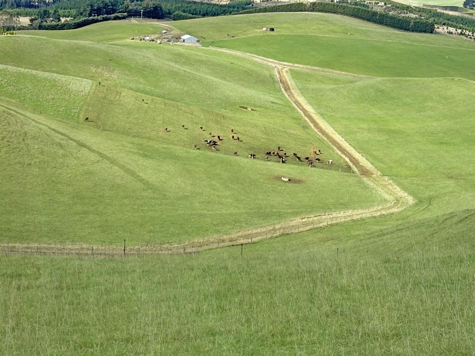 Finlays Road, Windsor