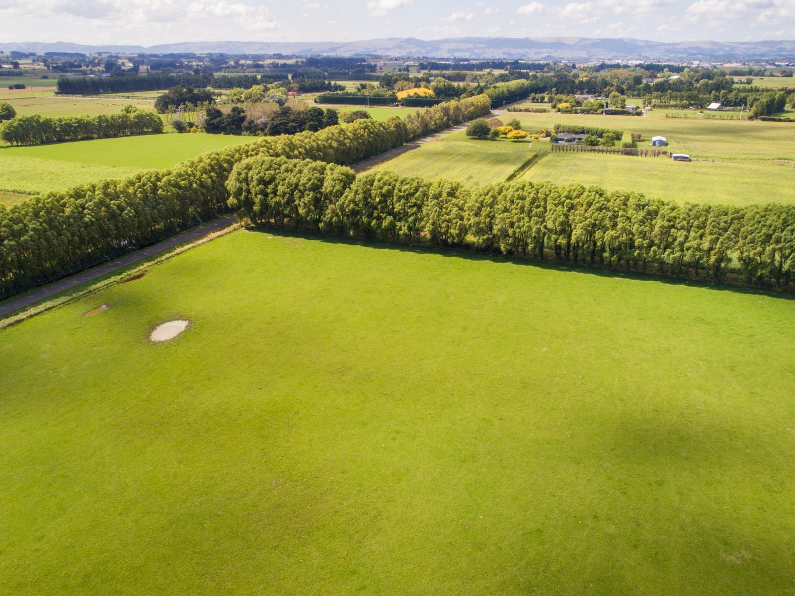 Setters Line, Newbury