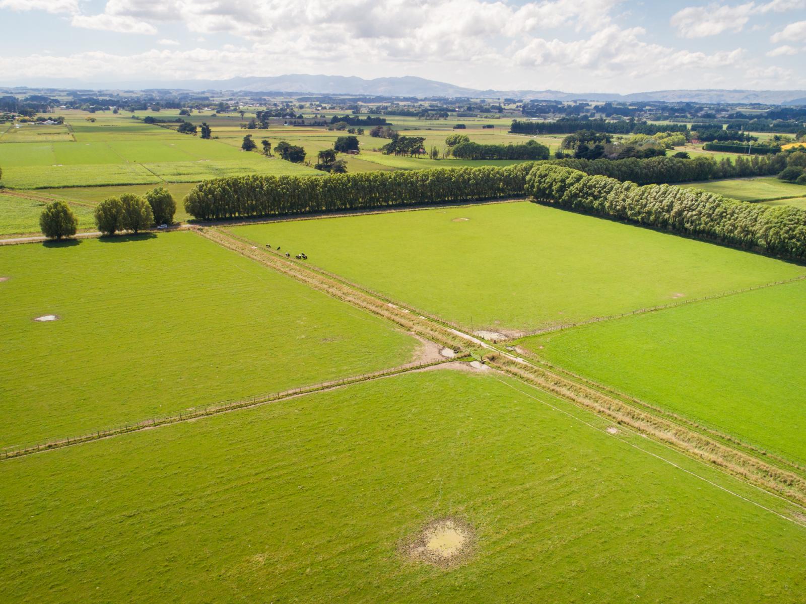 Setters Line, Newbury