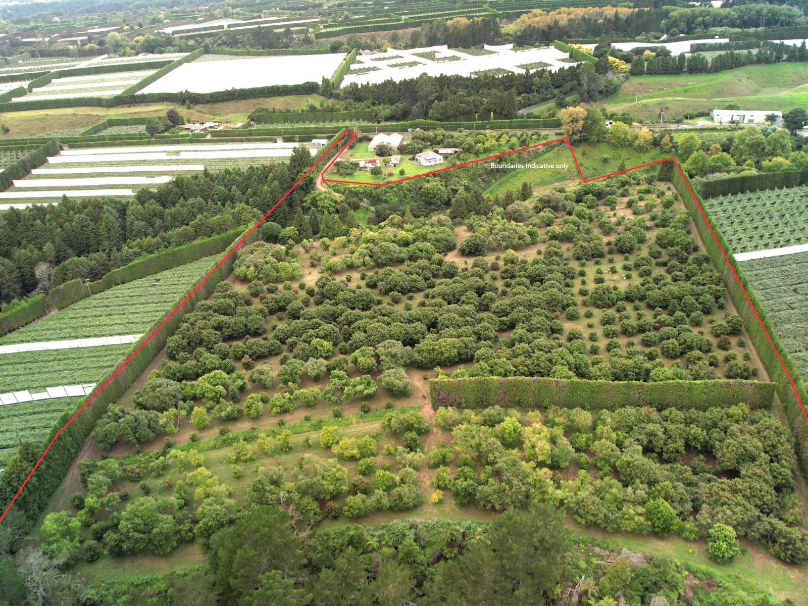 400 Te Matai Road, Te Puke