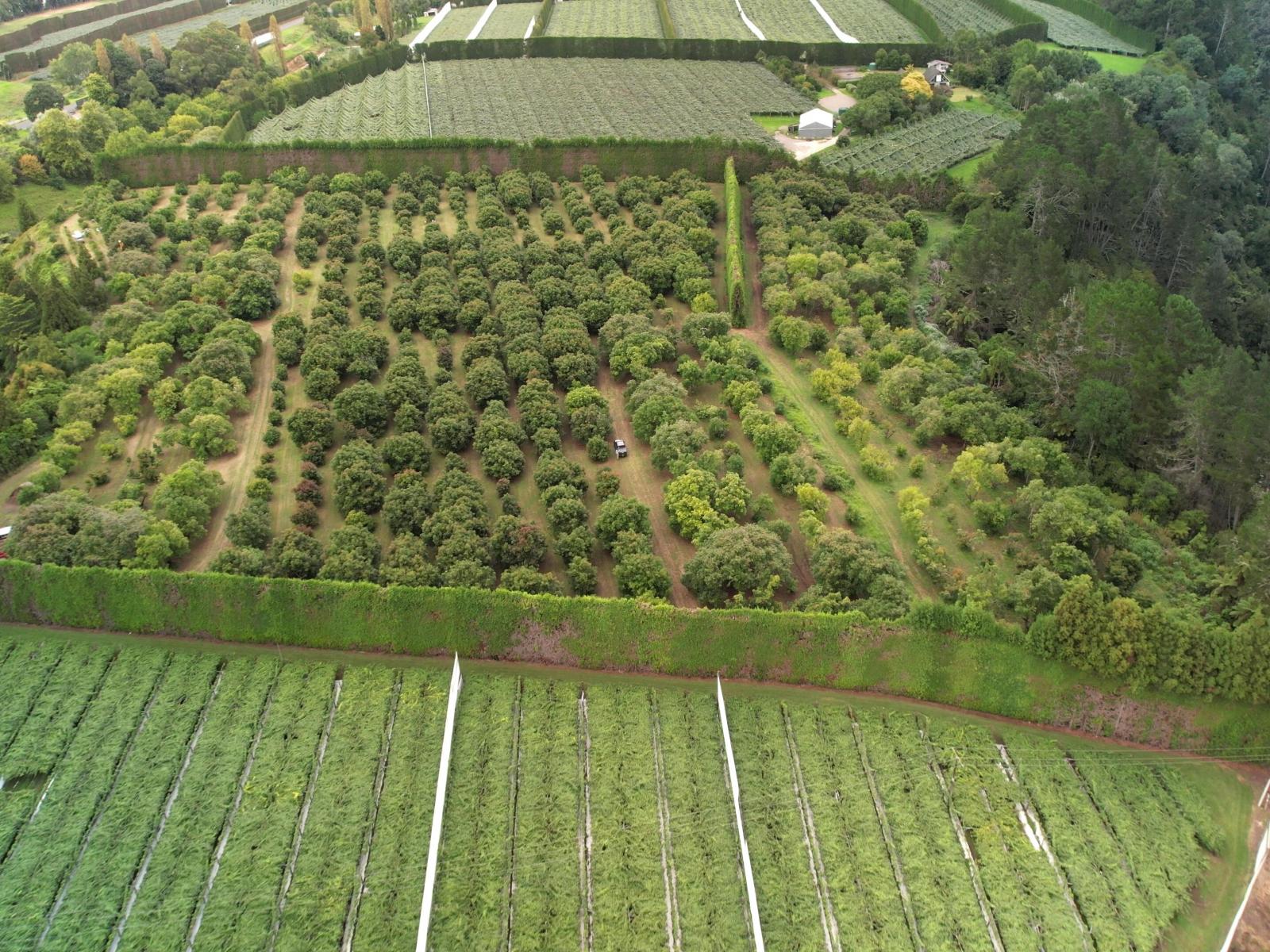 400 Te Matai Road, Te Puke