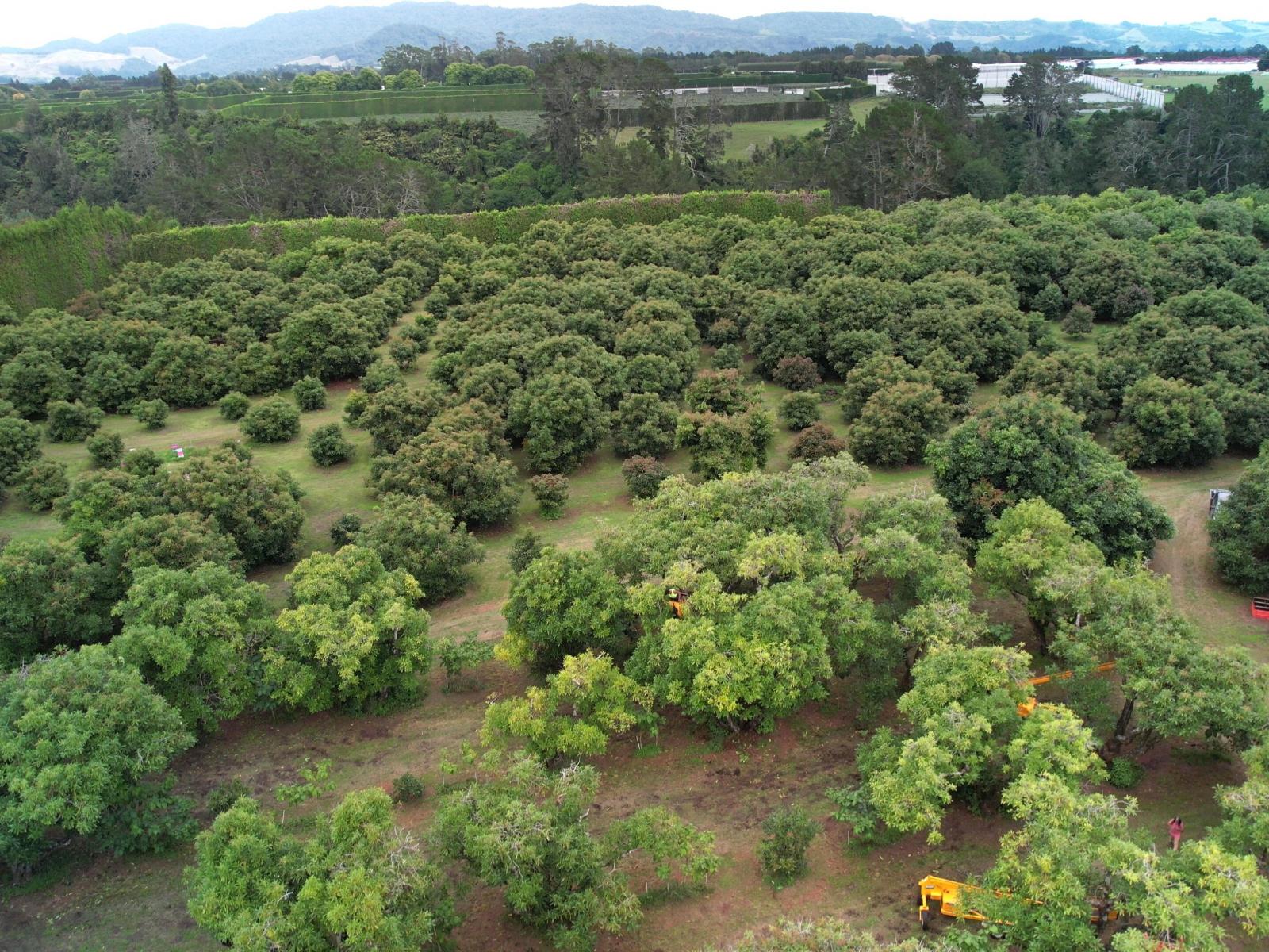 400 Te Matai Road, Te Puke