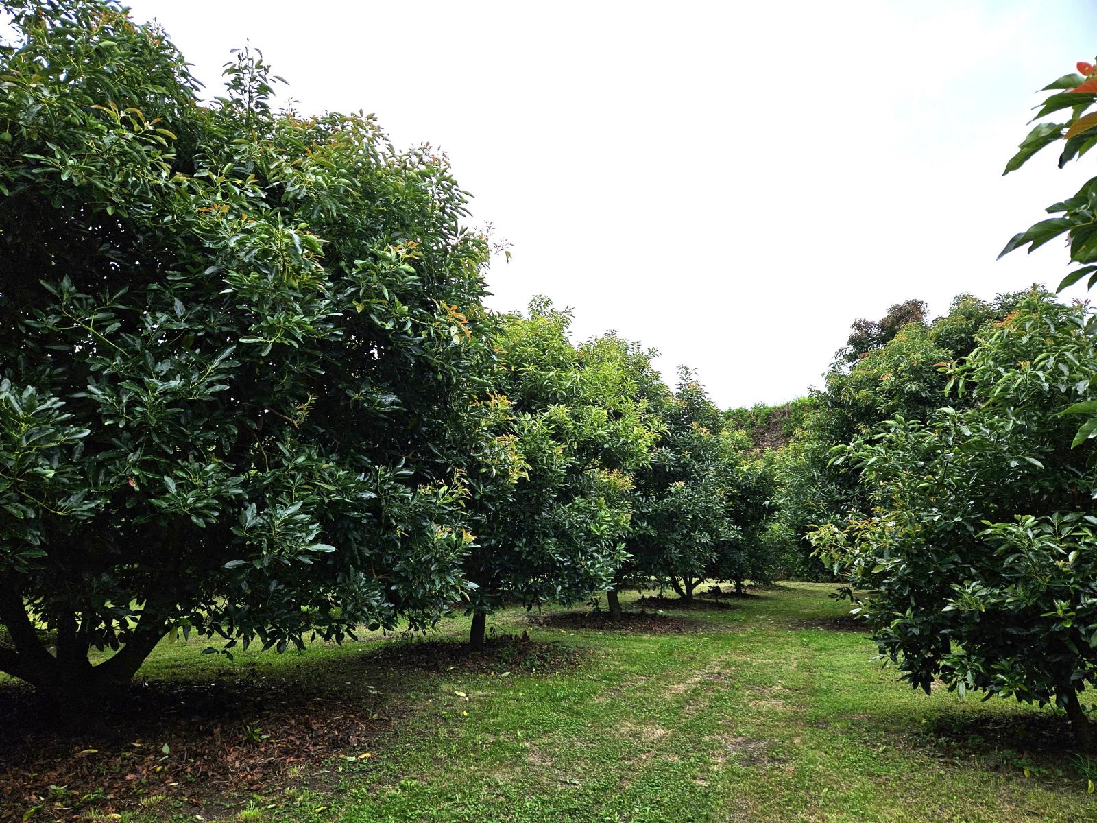 400 Te Matai Road, Te Puke