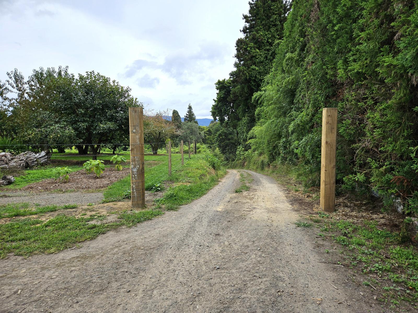 400 Te Matai Road, Te Puke