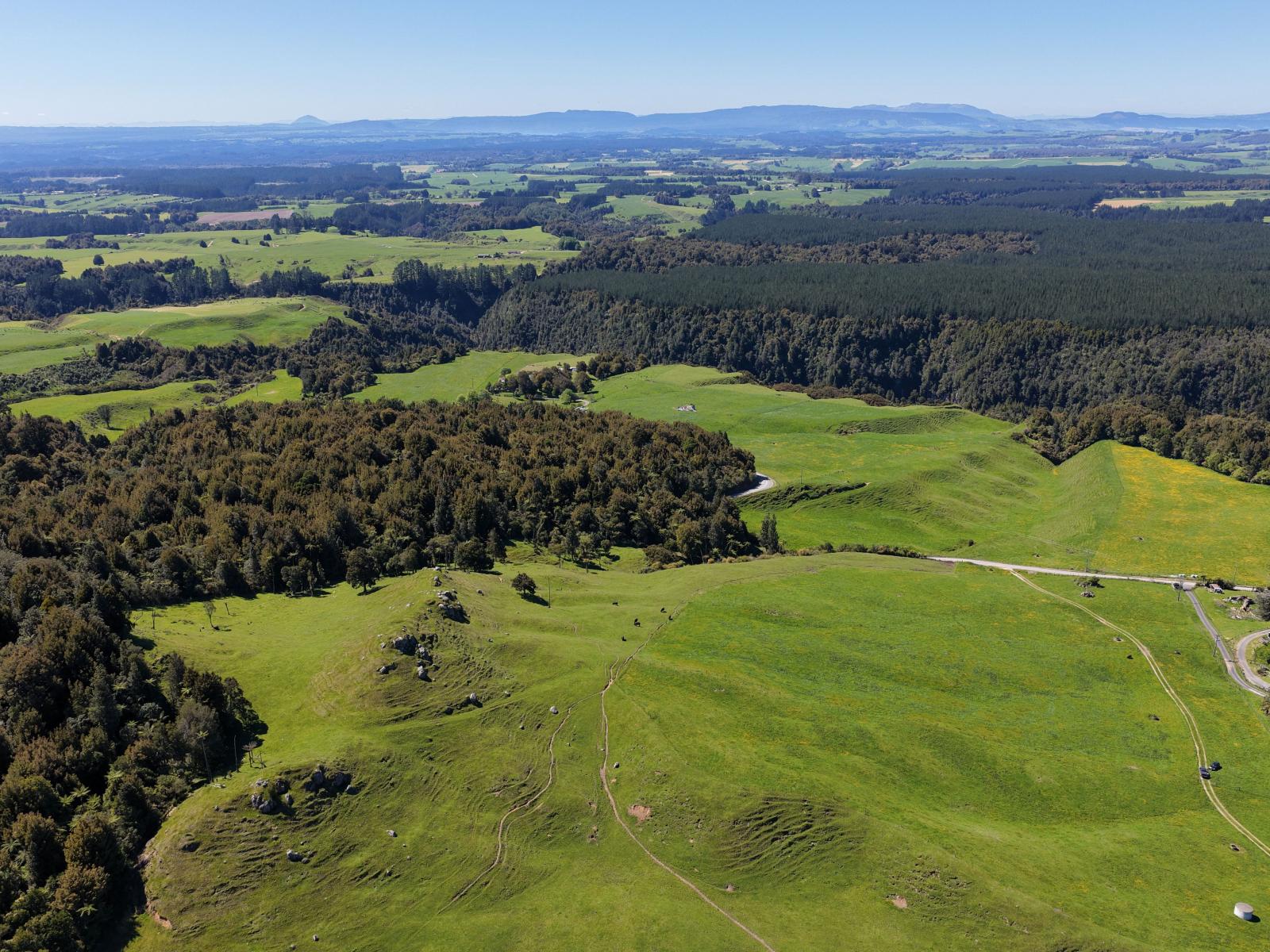 869 and 668 Mangatoi Road, Oropi