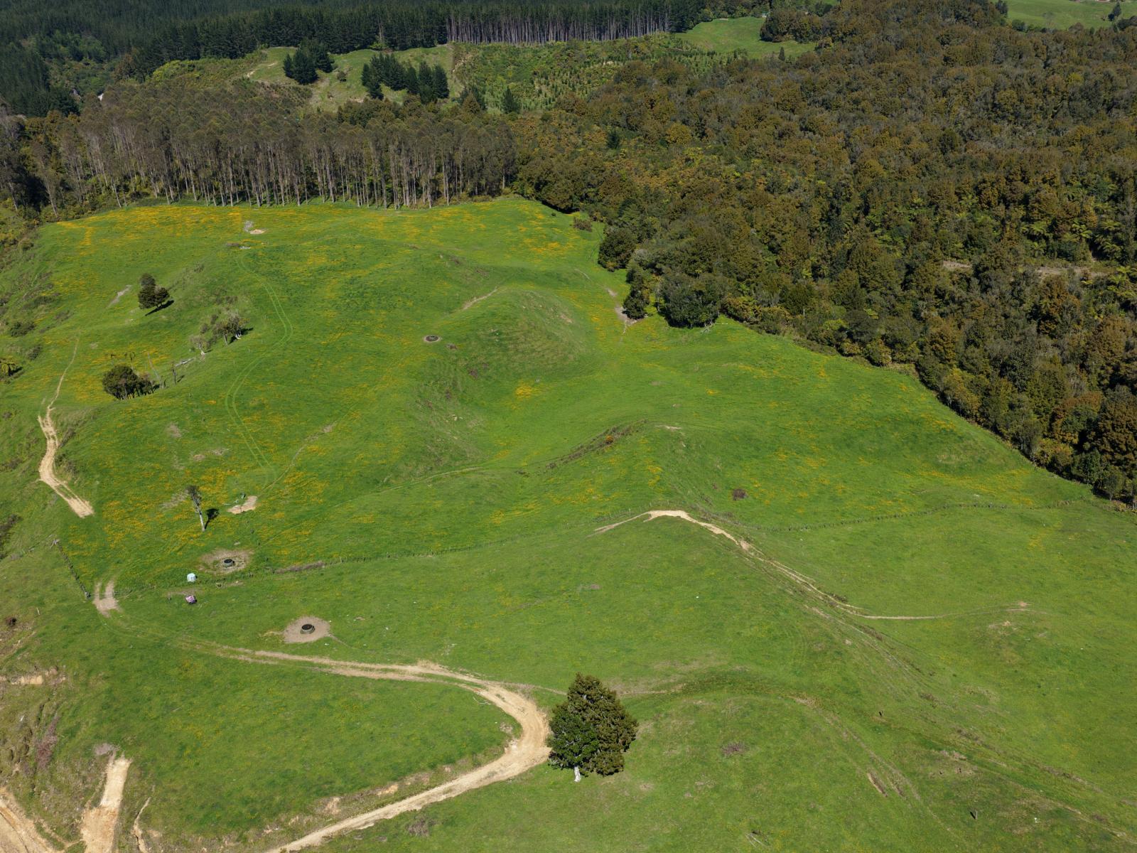 869 and 668 Mangatoi Road, Oropi