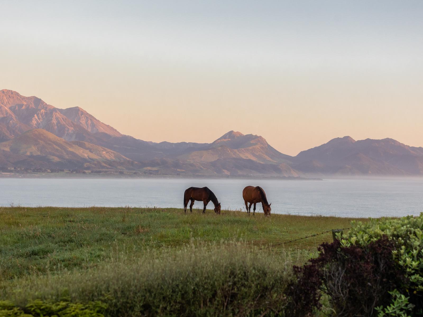 12A Austin Street, Kaikoura