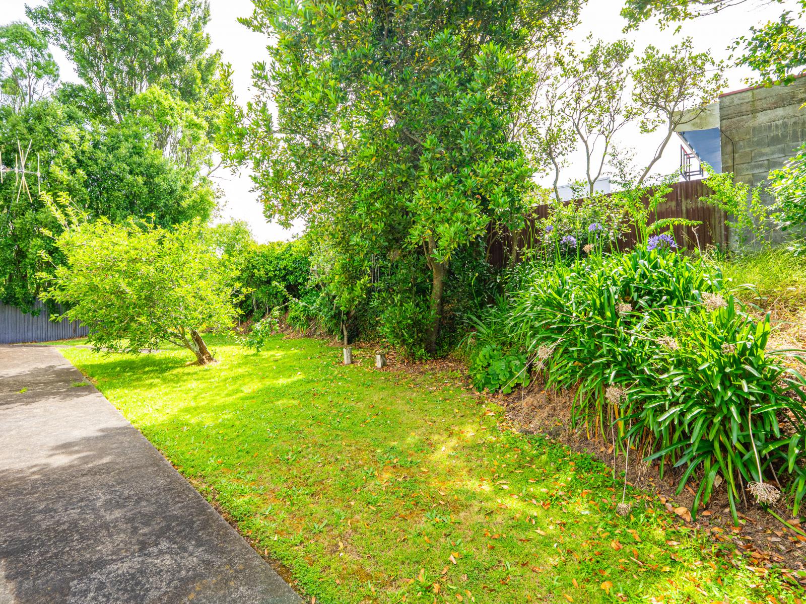 152 Heads Road, Gonville