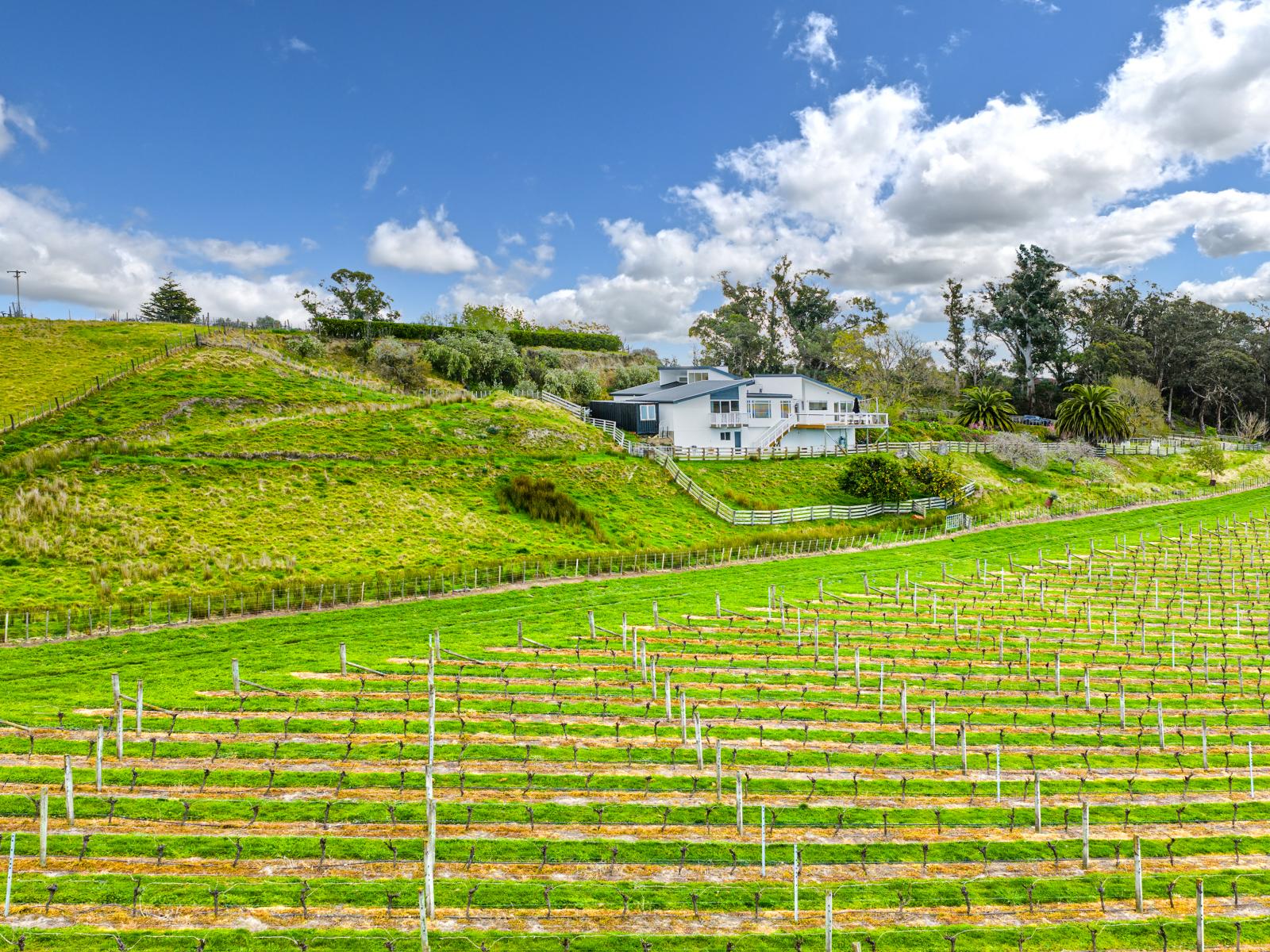 21 Albany Lane, Havelock North