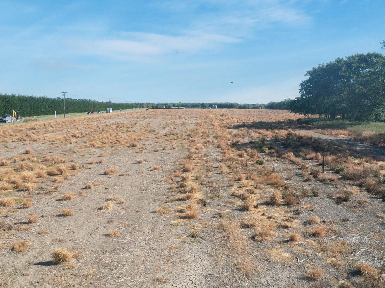 Waimate Highway, St Andrews