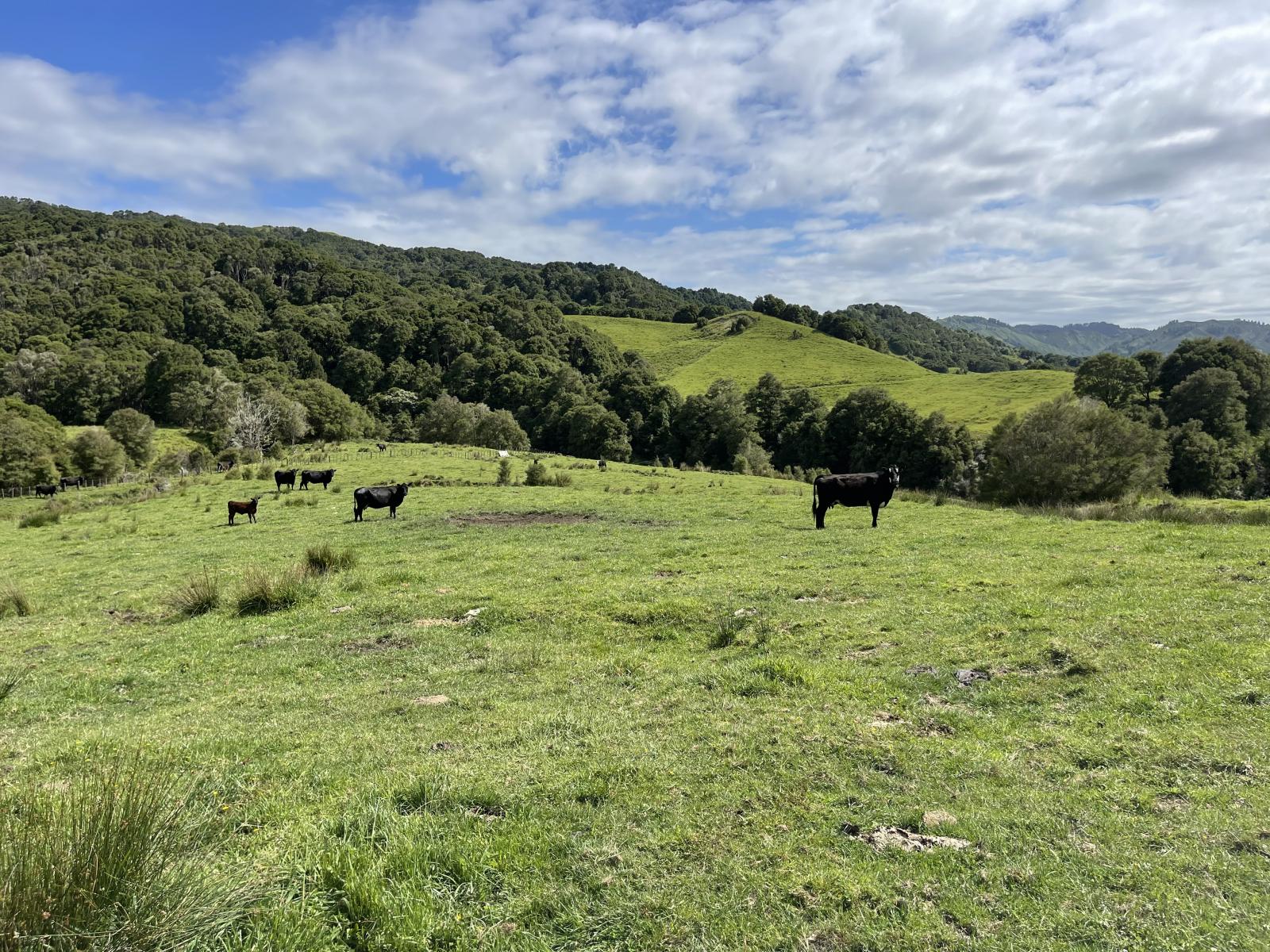 851 Awamate Road, Frasertown