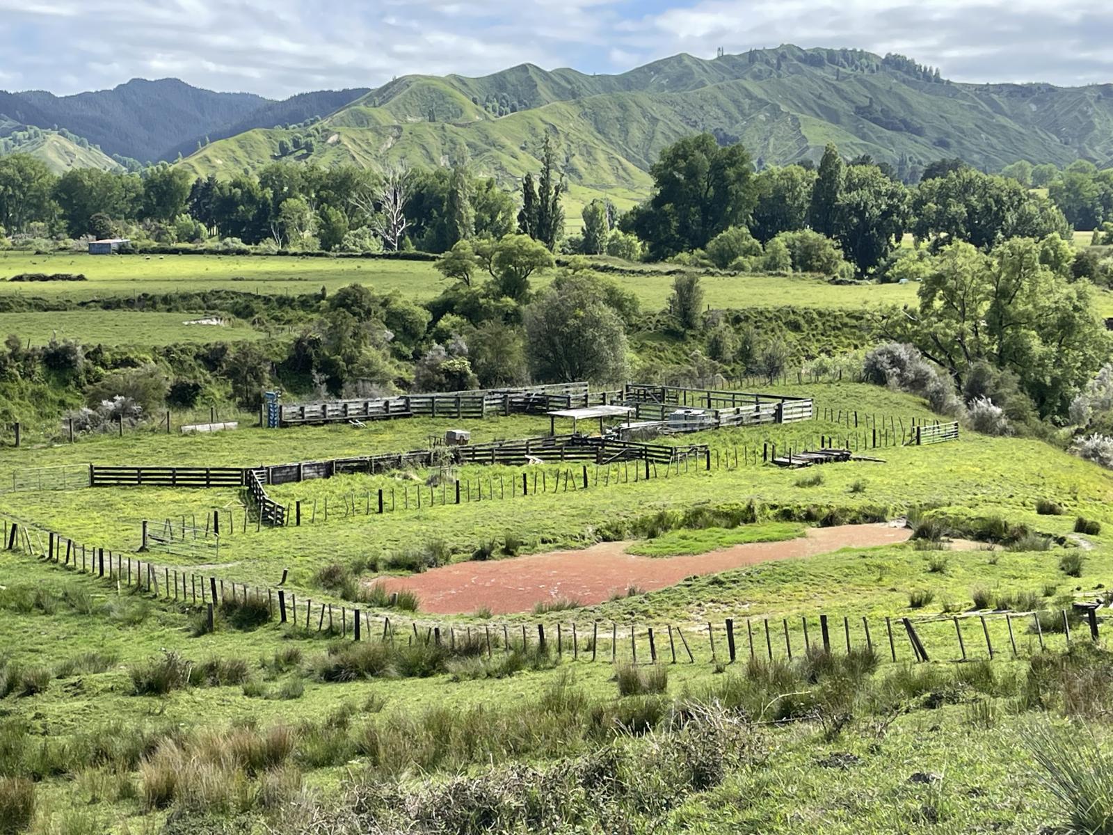 851 Awamate Road, Frasertown