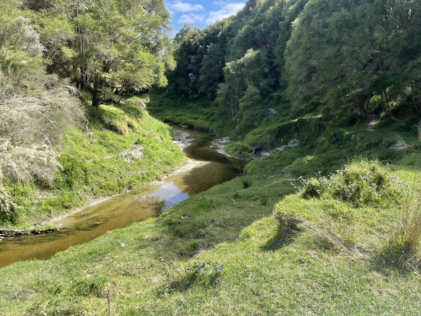 851 Awamate Road, Frasertown