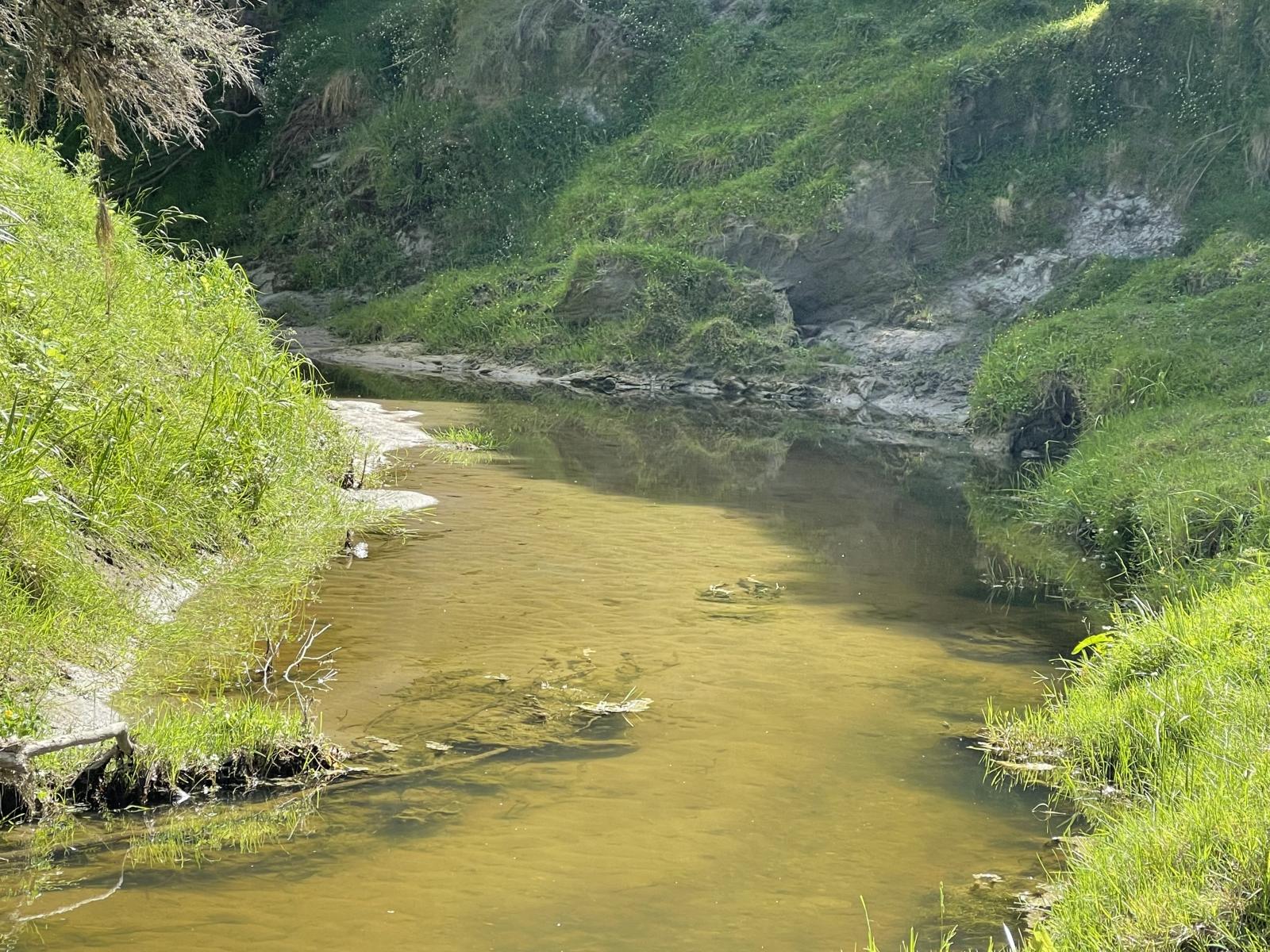 851 Awamate Road, Frasertown