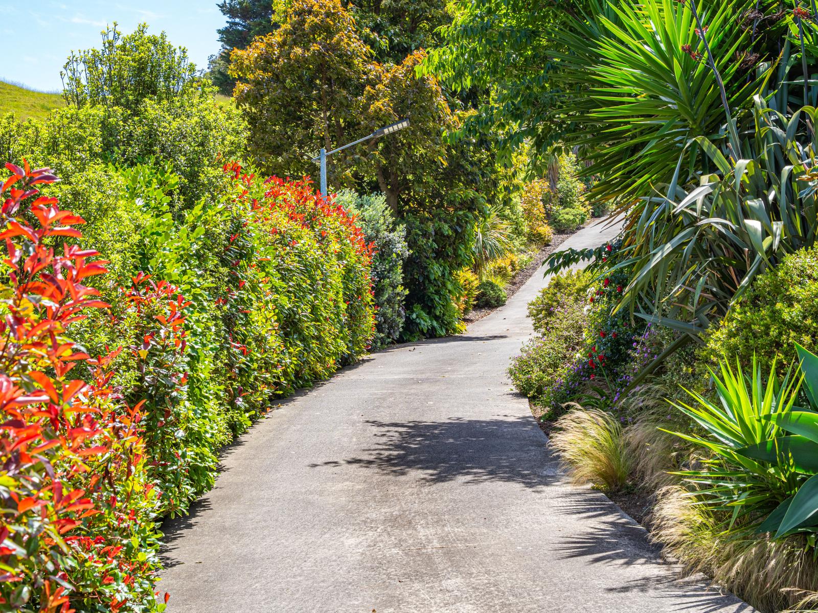 18A Sandcroft Drive, Westmere