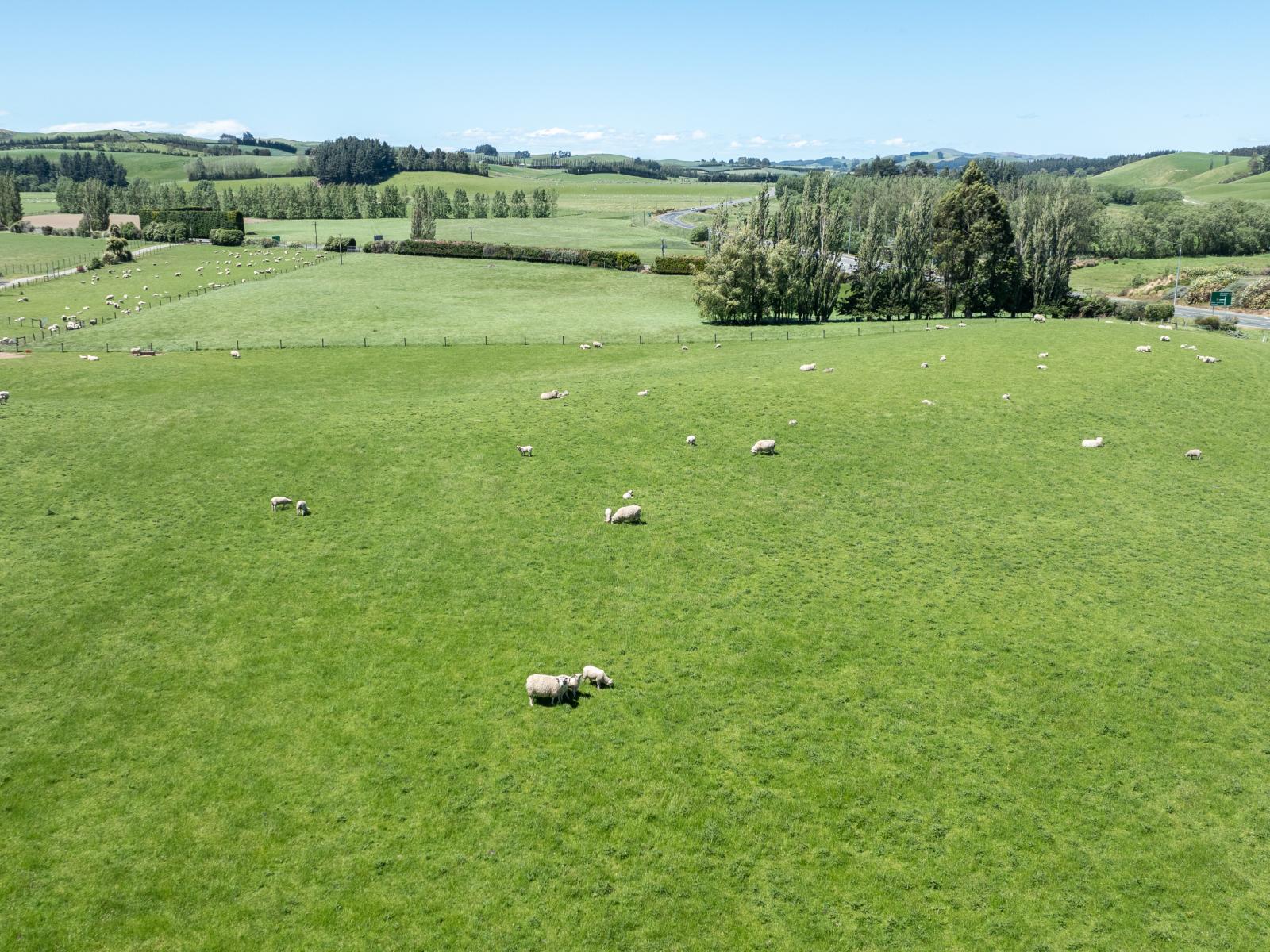 23 Waikaka Valley Highway, McNab