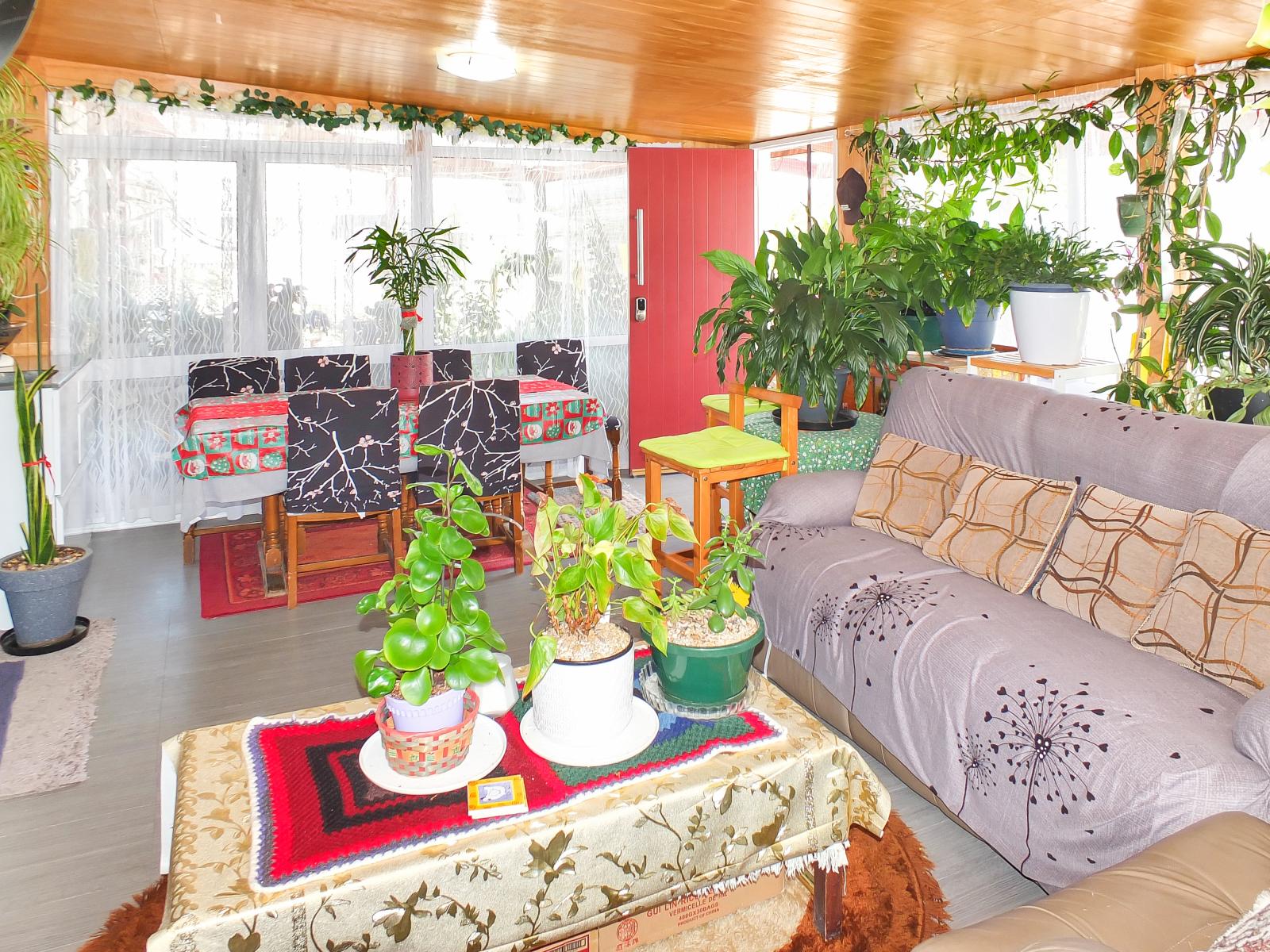 7 Brown Street, Foxton