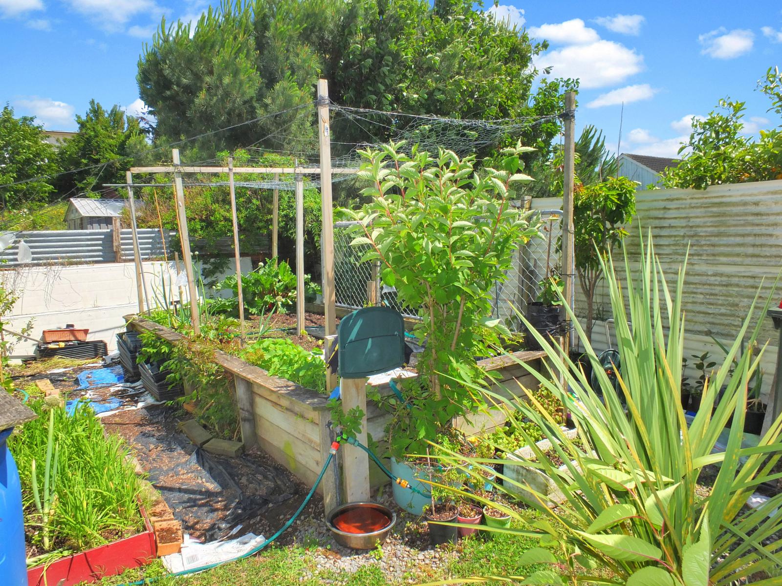 7 Brown Street, Foxton