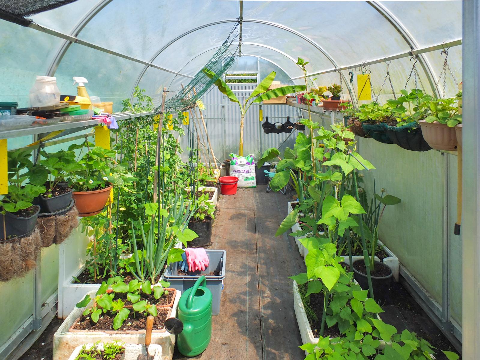 7 Brown Street, Foxton