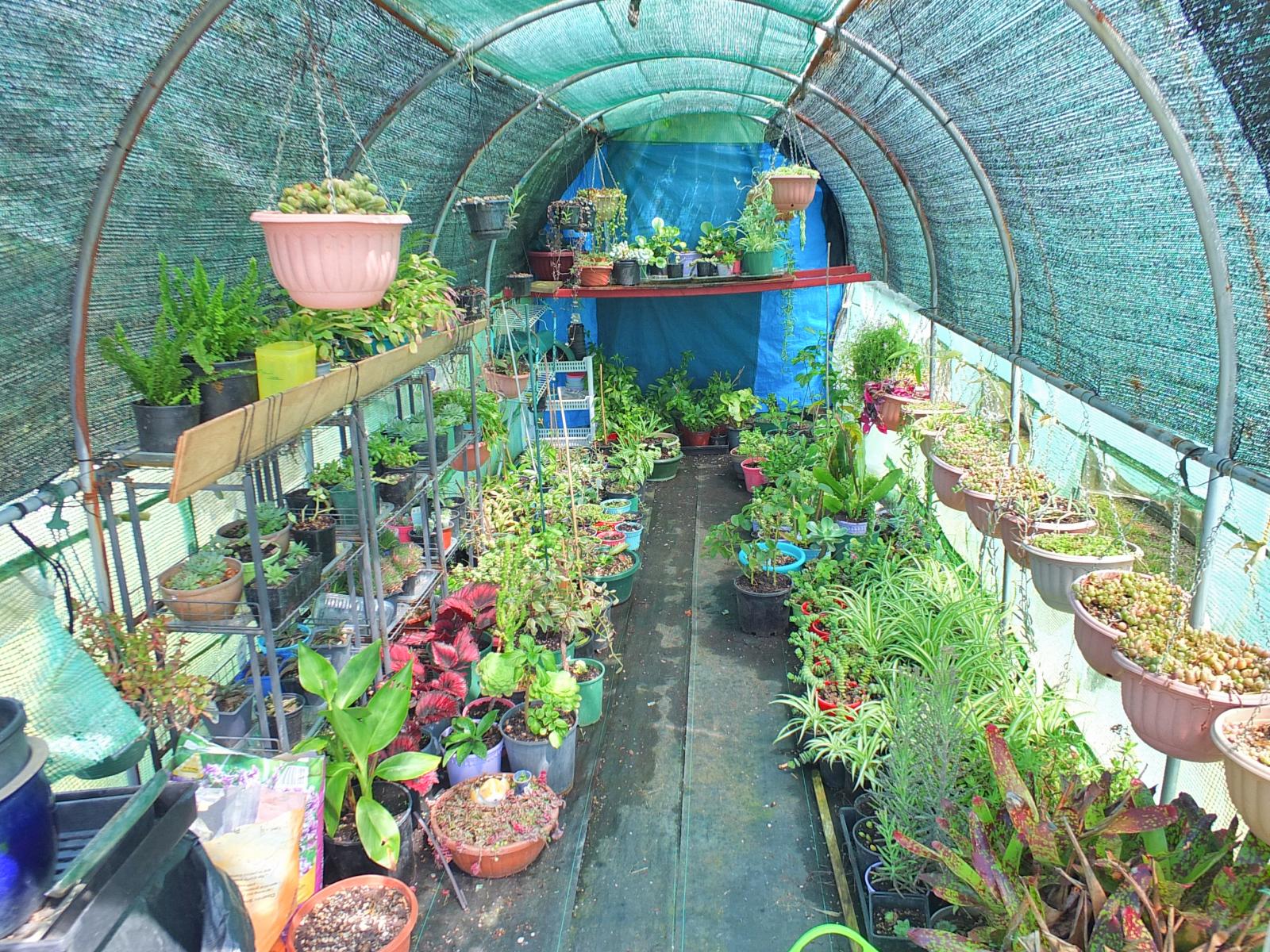 7 Brown Street, Foxton