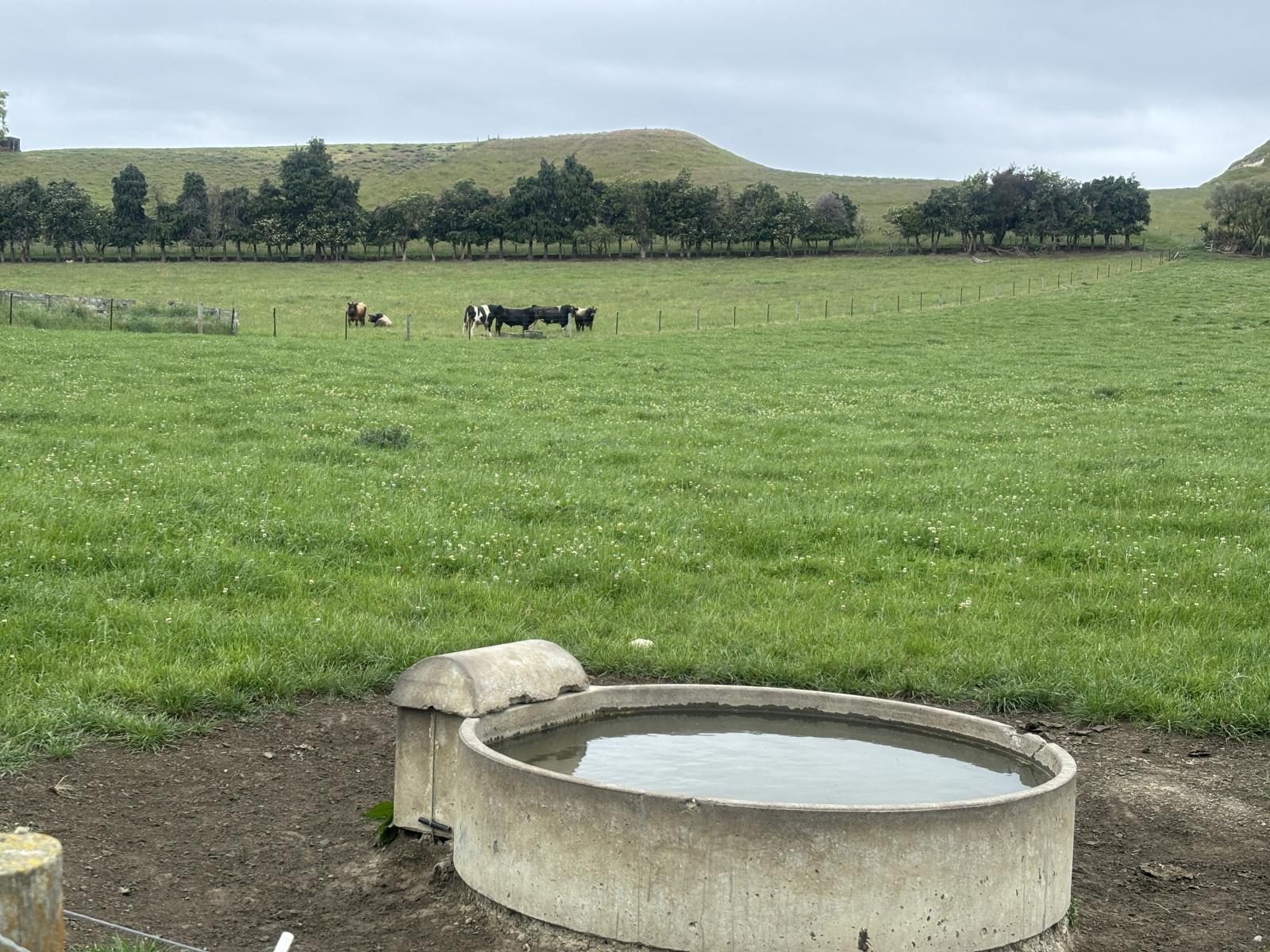 518 Elephant Hill Road, Waimate