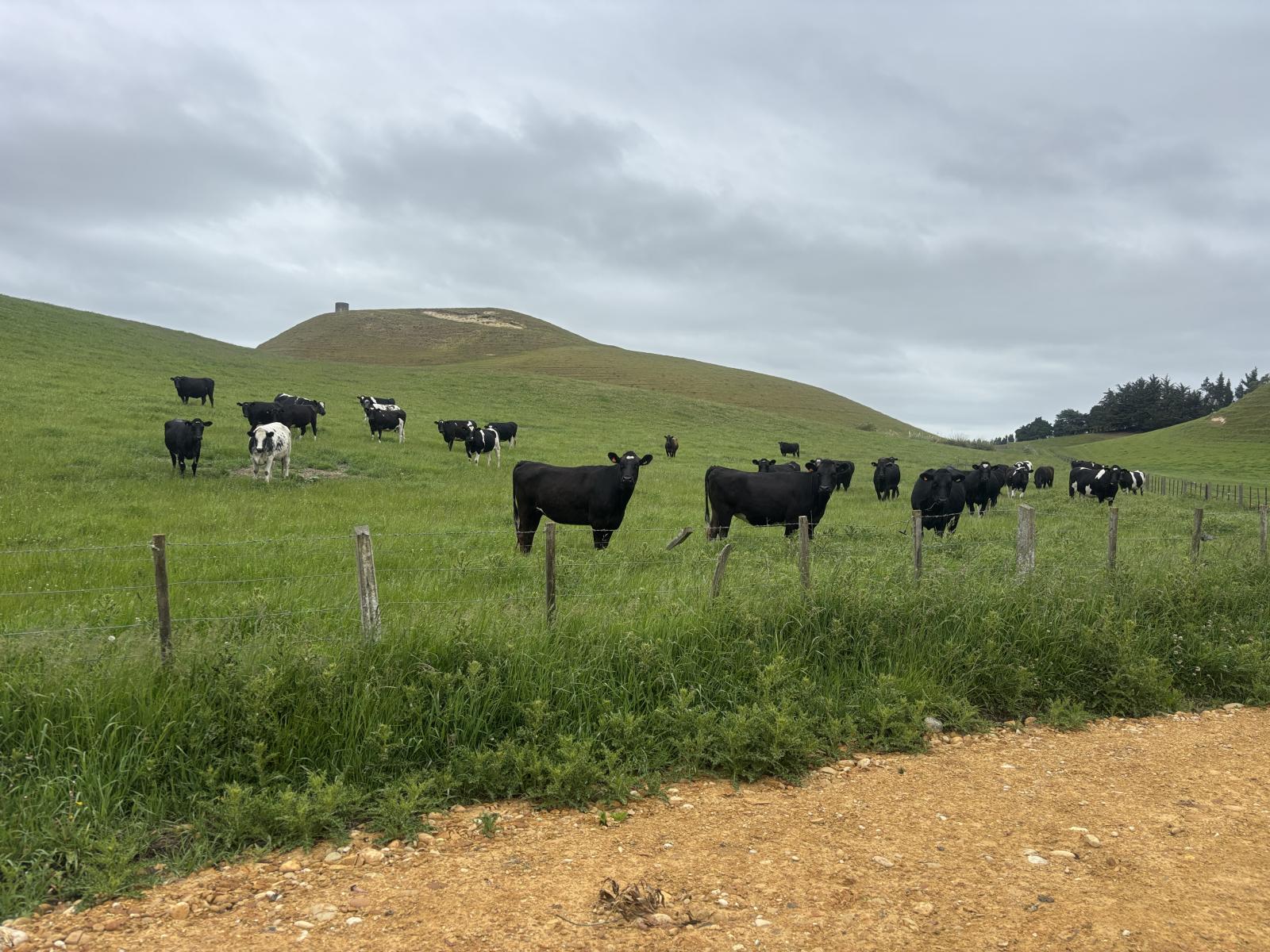 518 Elephant Hill Road, Waimate
