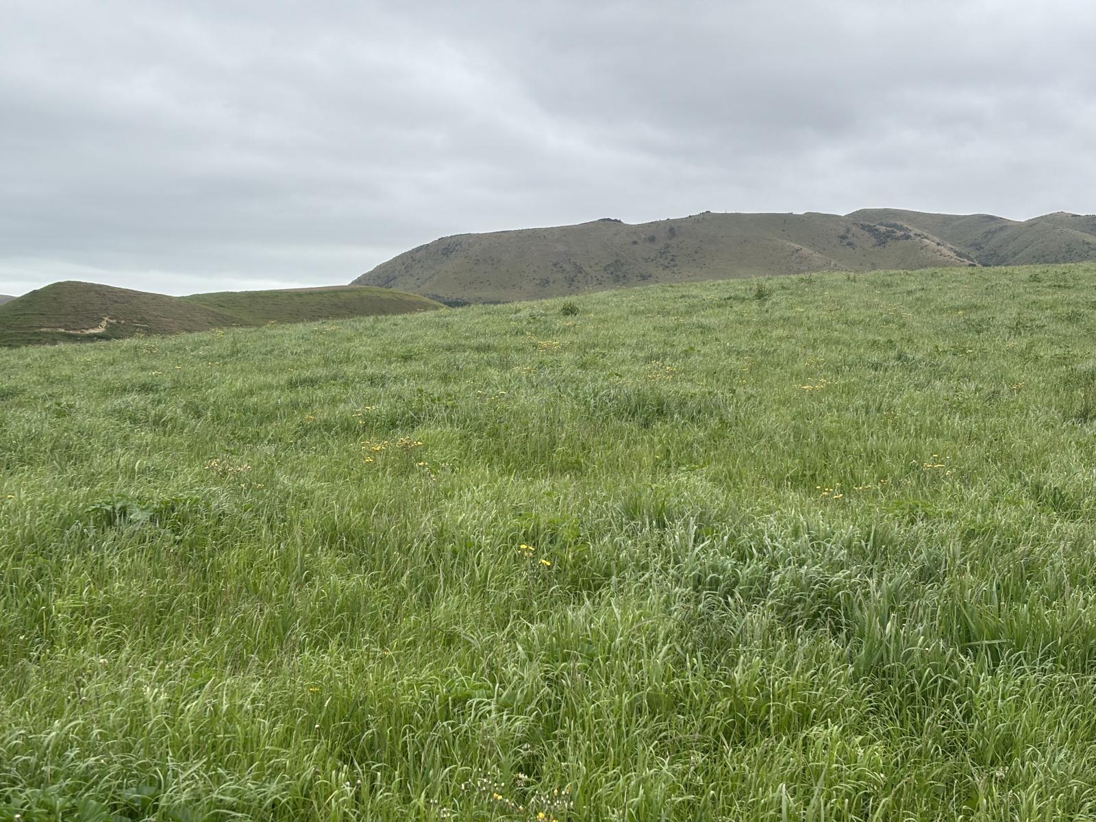 518 Elephant Hill Road, Waimate