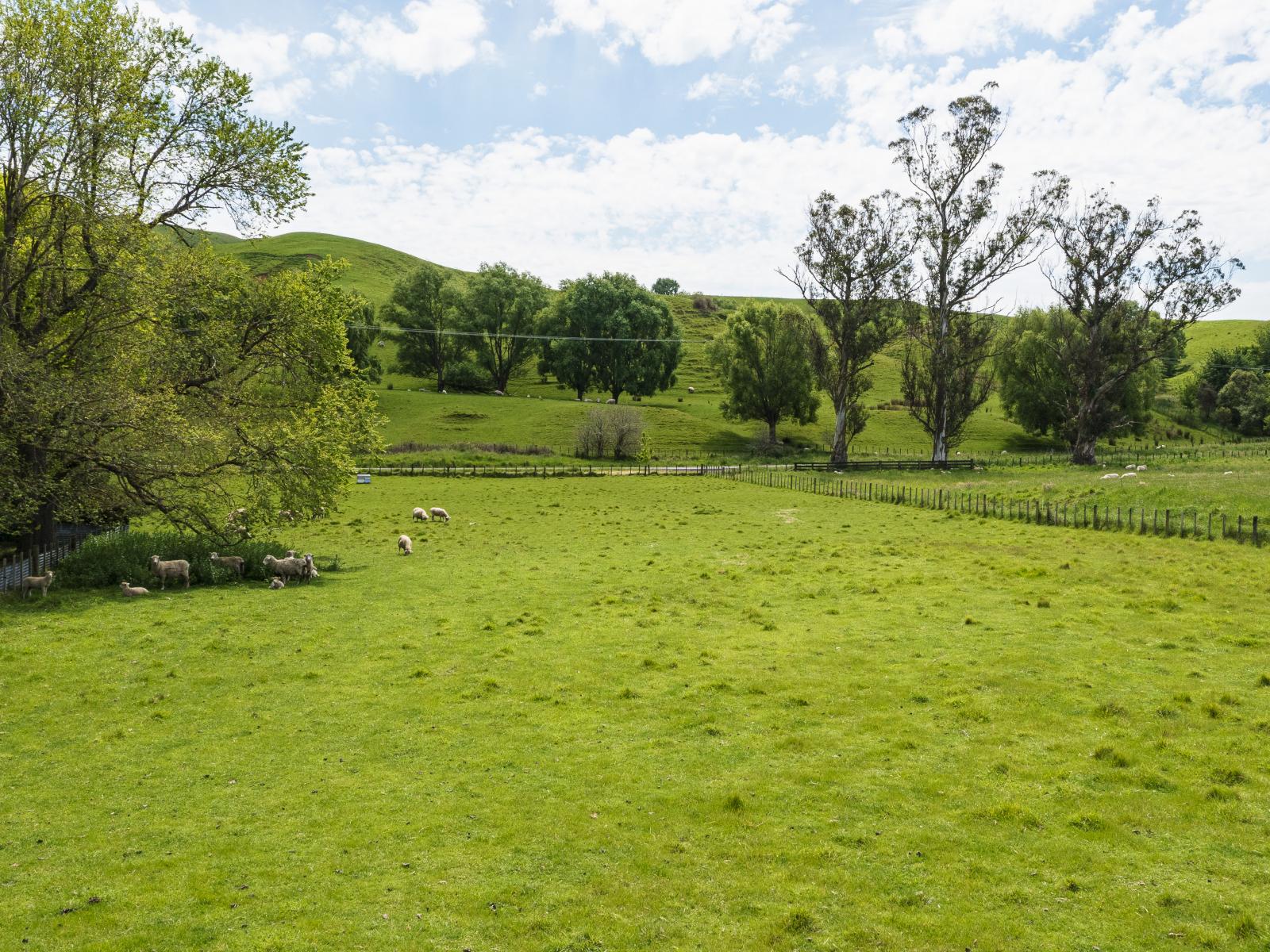 504 and 508 River Road, Otane