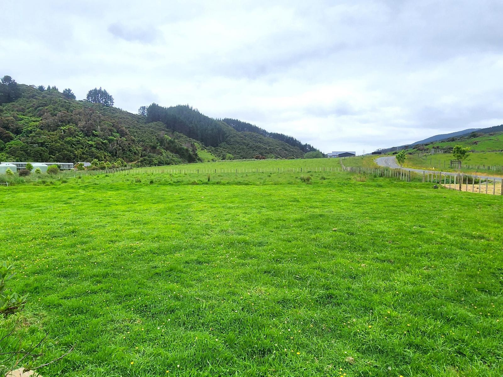 13 Robertson Close, Manakau