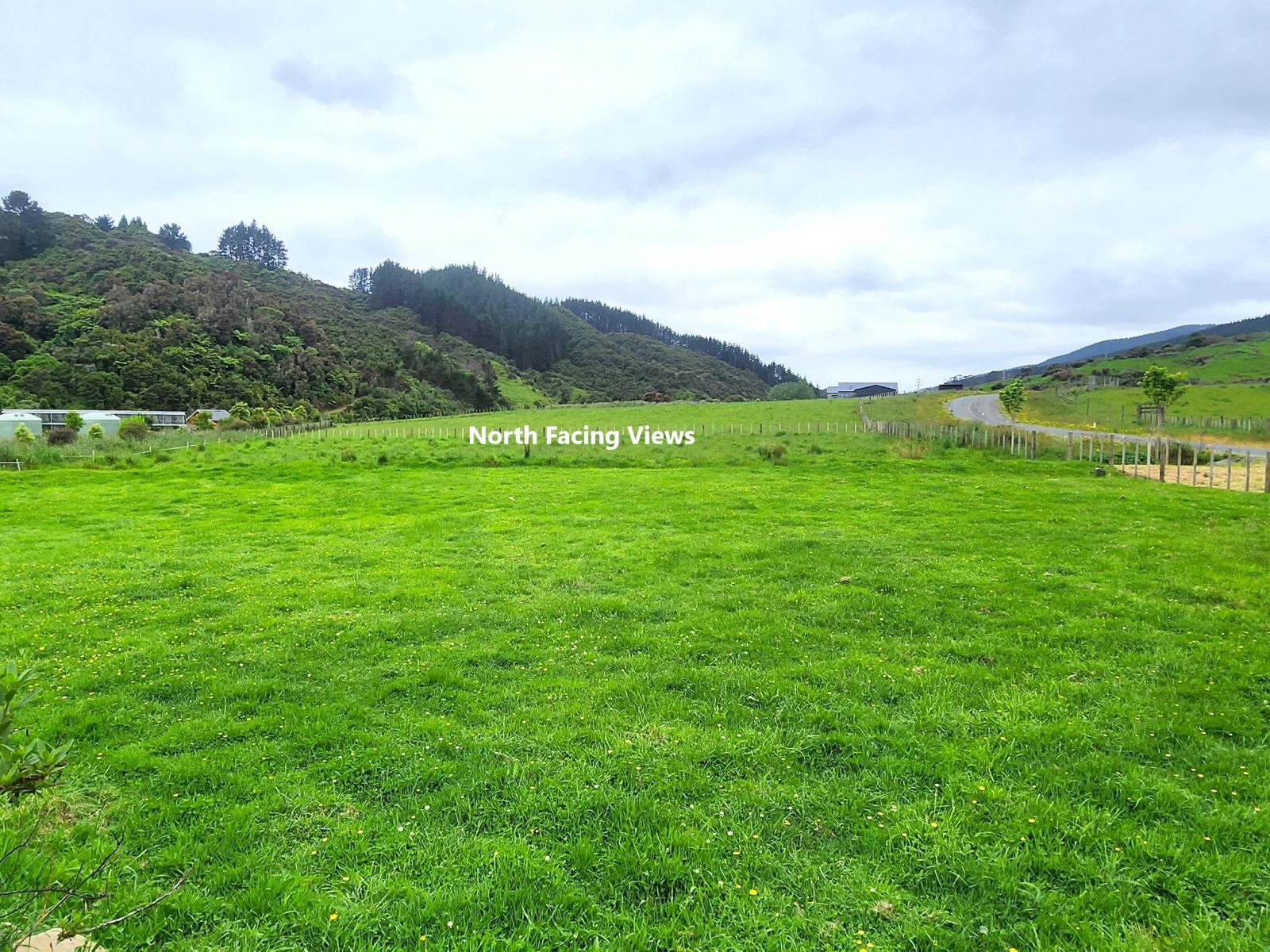 13 Robertson Close, Manakau