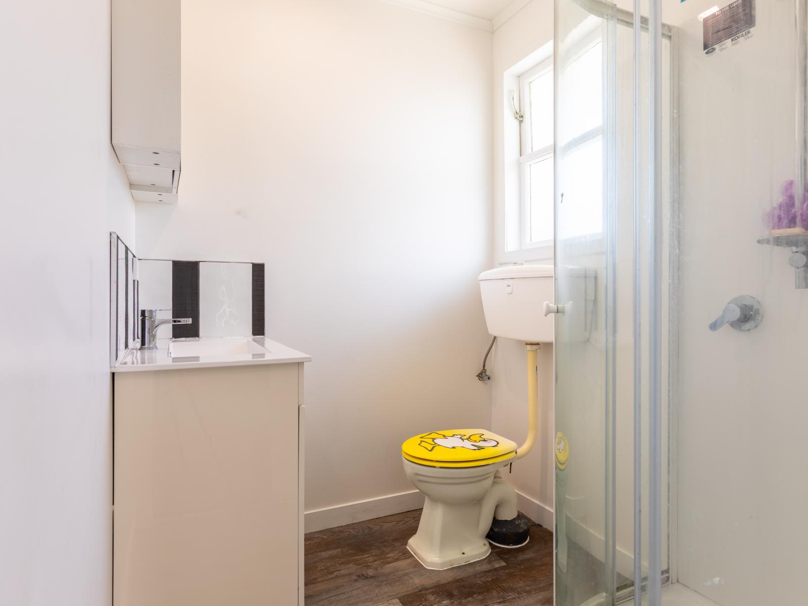 61 Burgoyne Street, Woodville