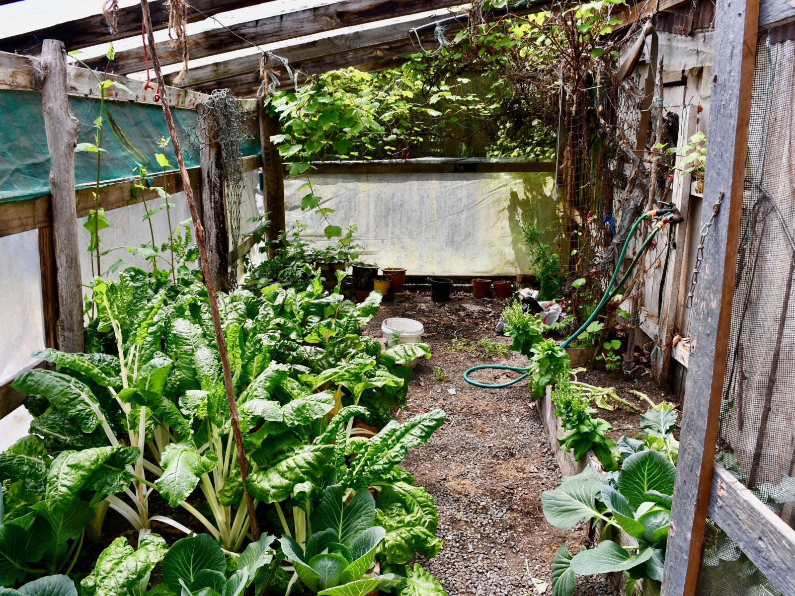 406 Arapito Road, Karamea