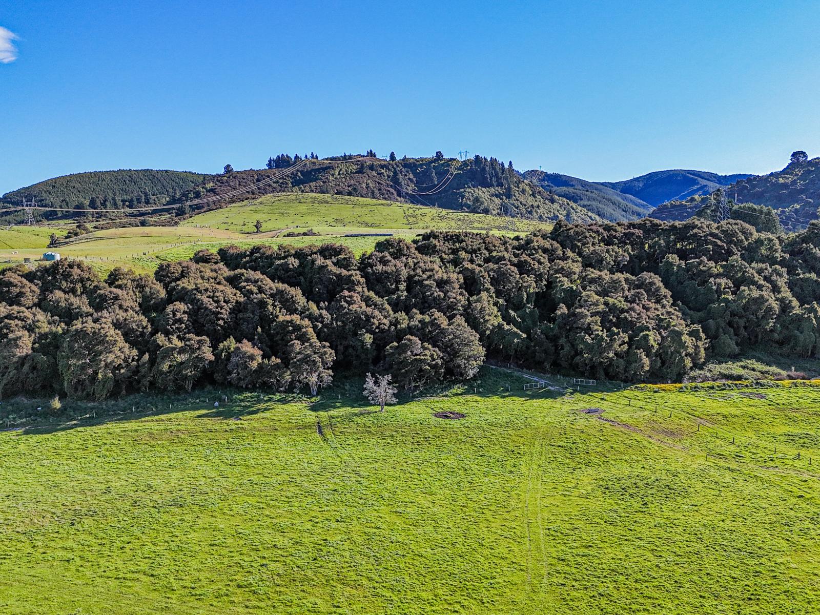 803 Te Moana Road, Kakahu
