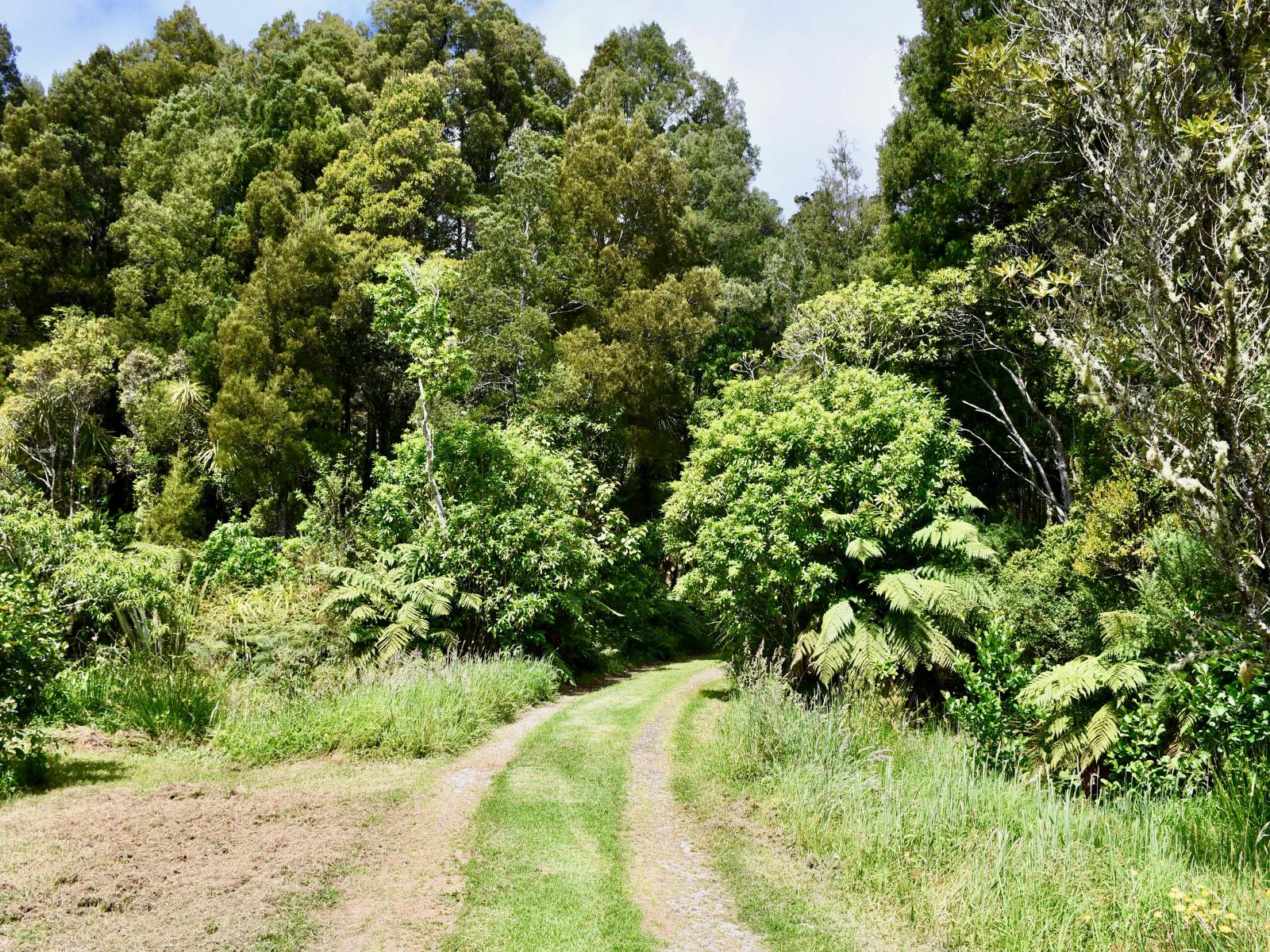 4589 Karamea Highway, Karamea