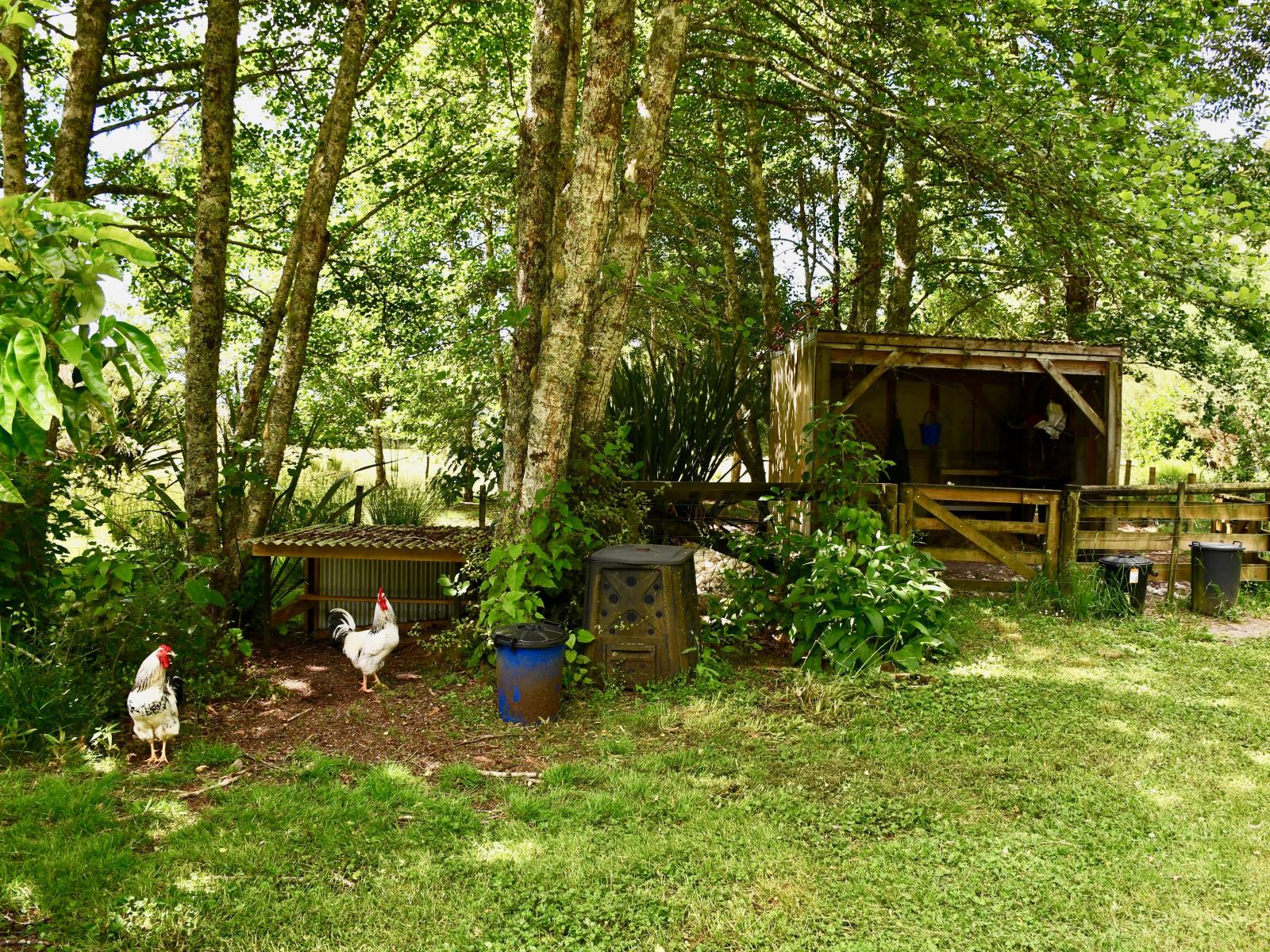 4589 Karamea Highway, Karamea