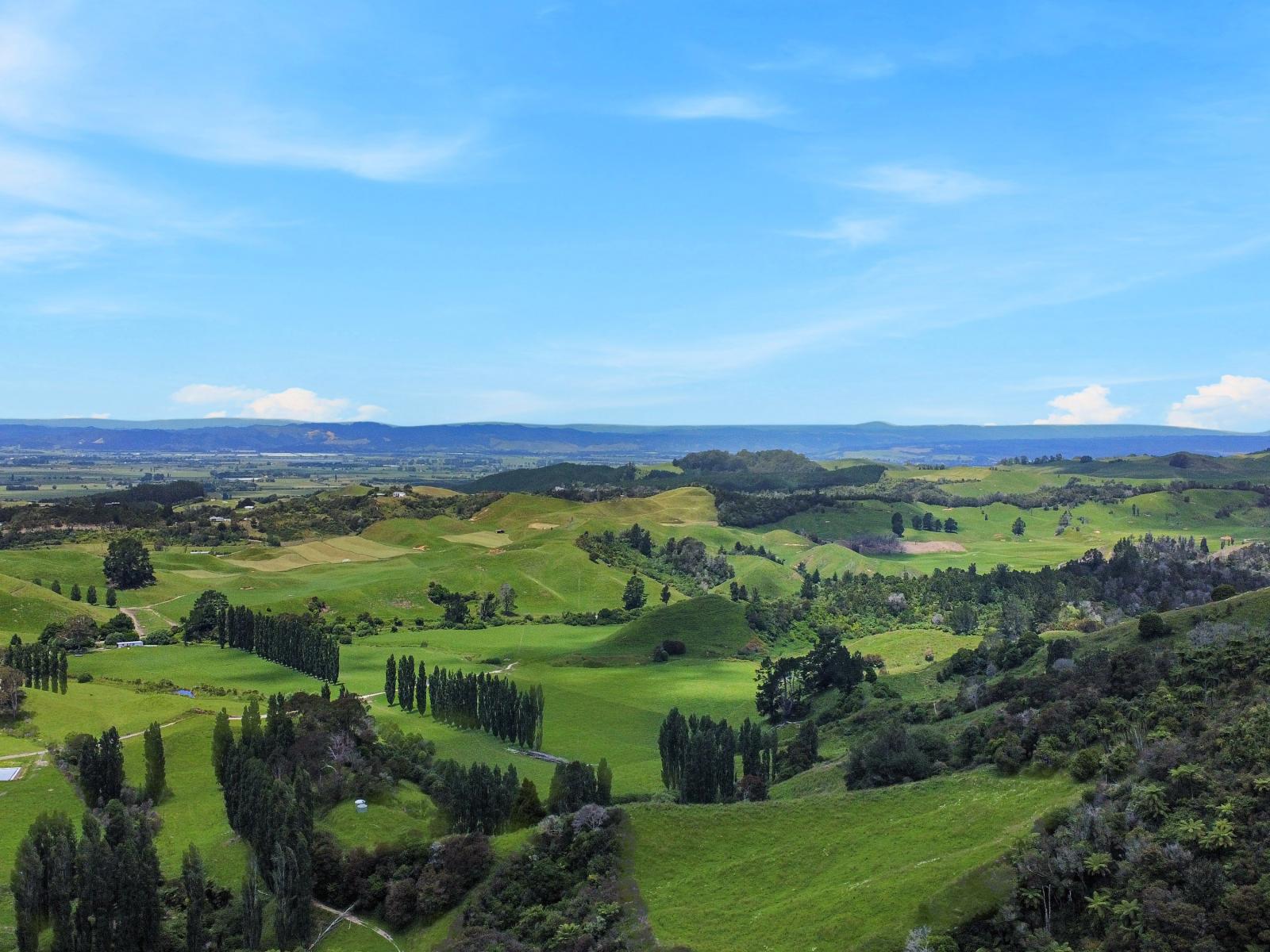 830 Manawahe Road, Matata