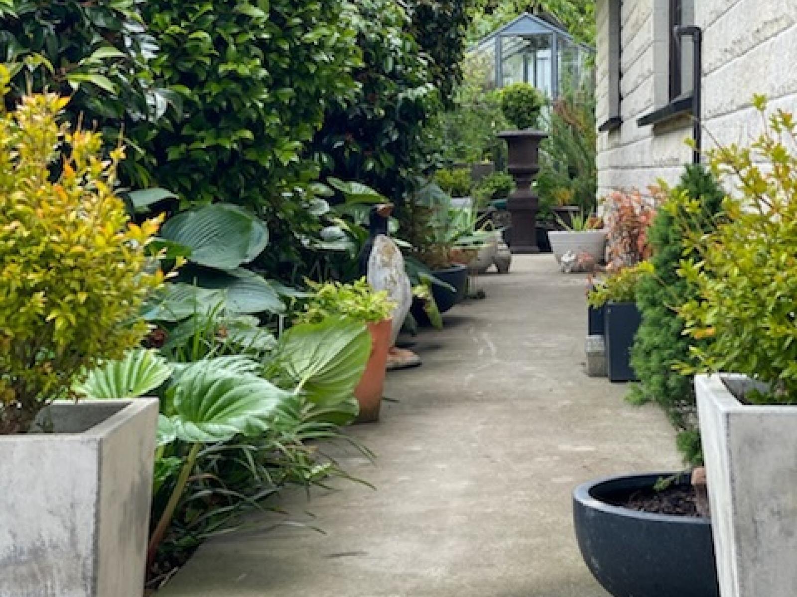 37 London Street, Hampden